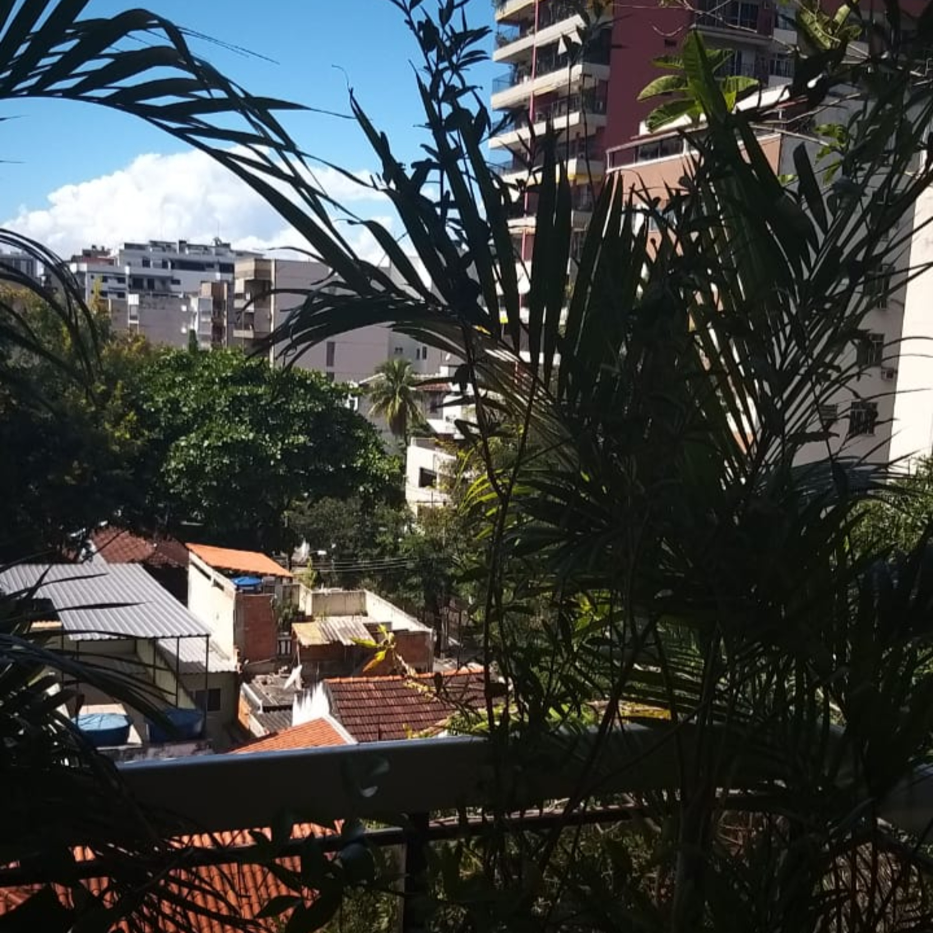 Vozes da Quarentena