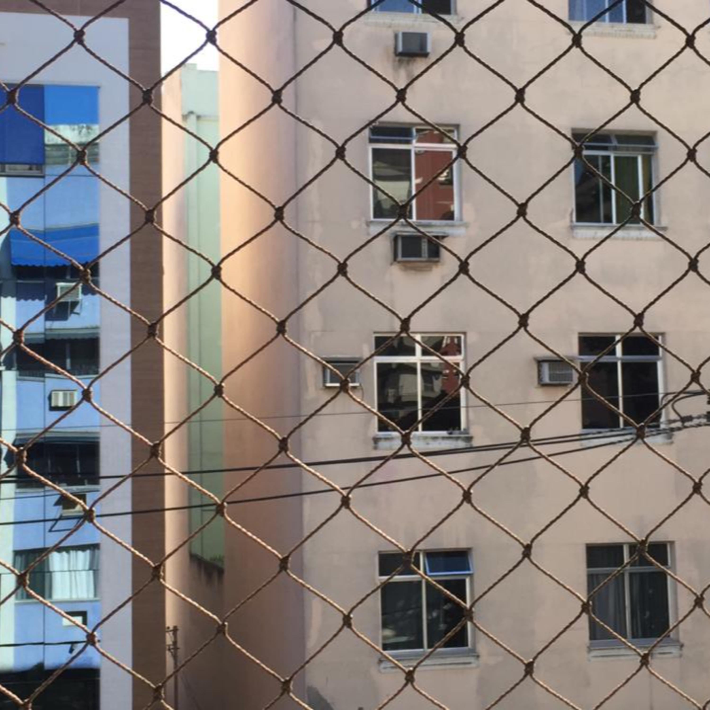 Vozes da Quarentena