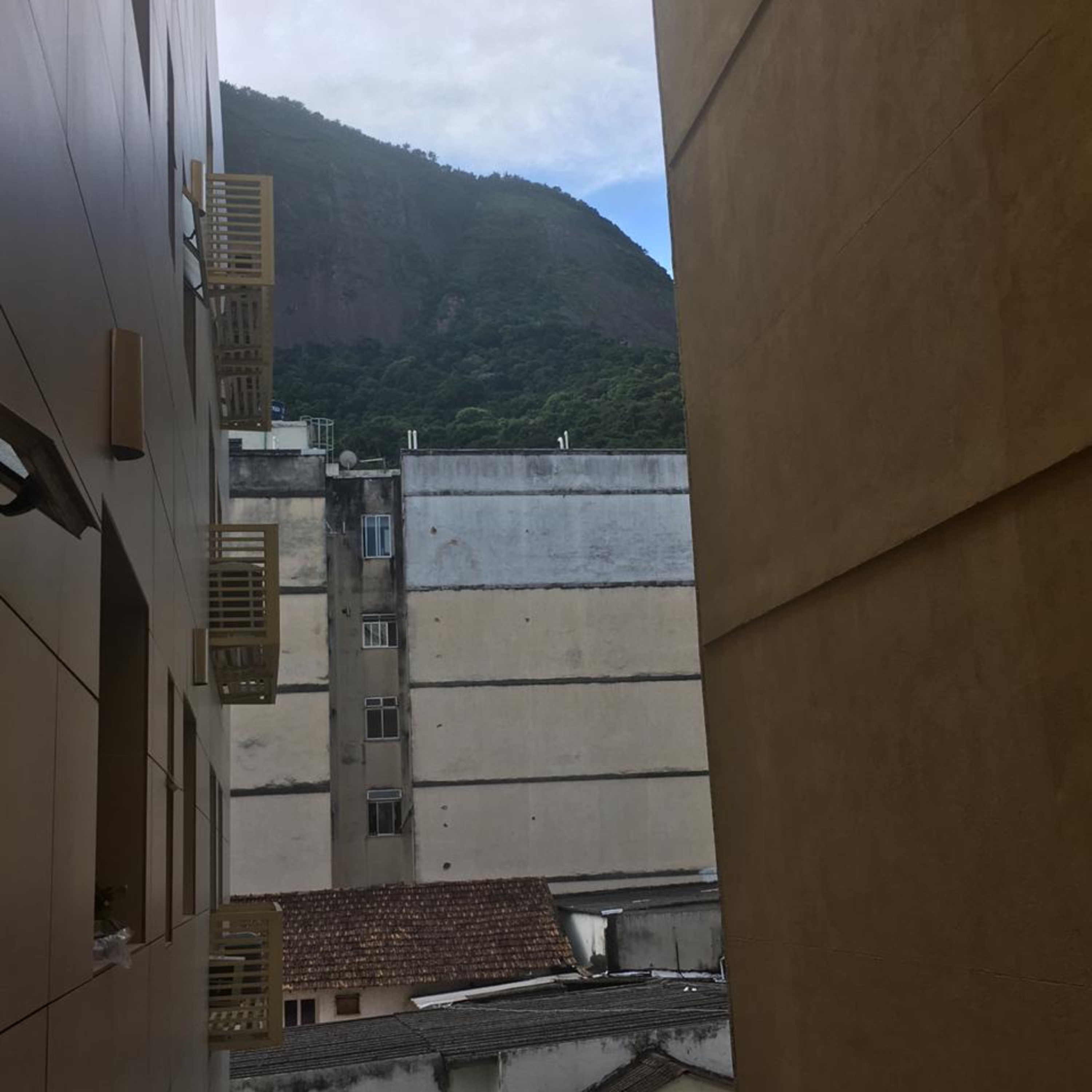 Vozes da Quarentena