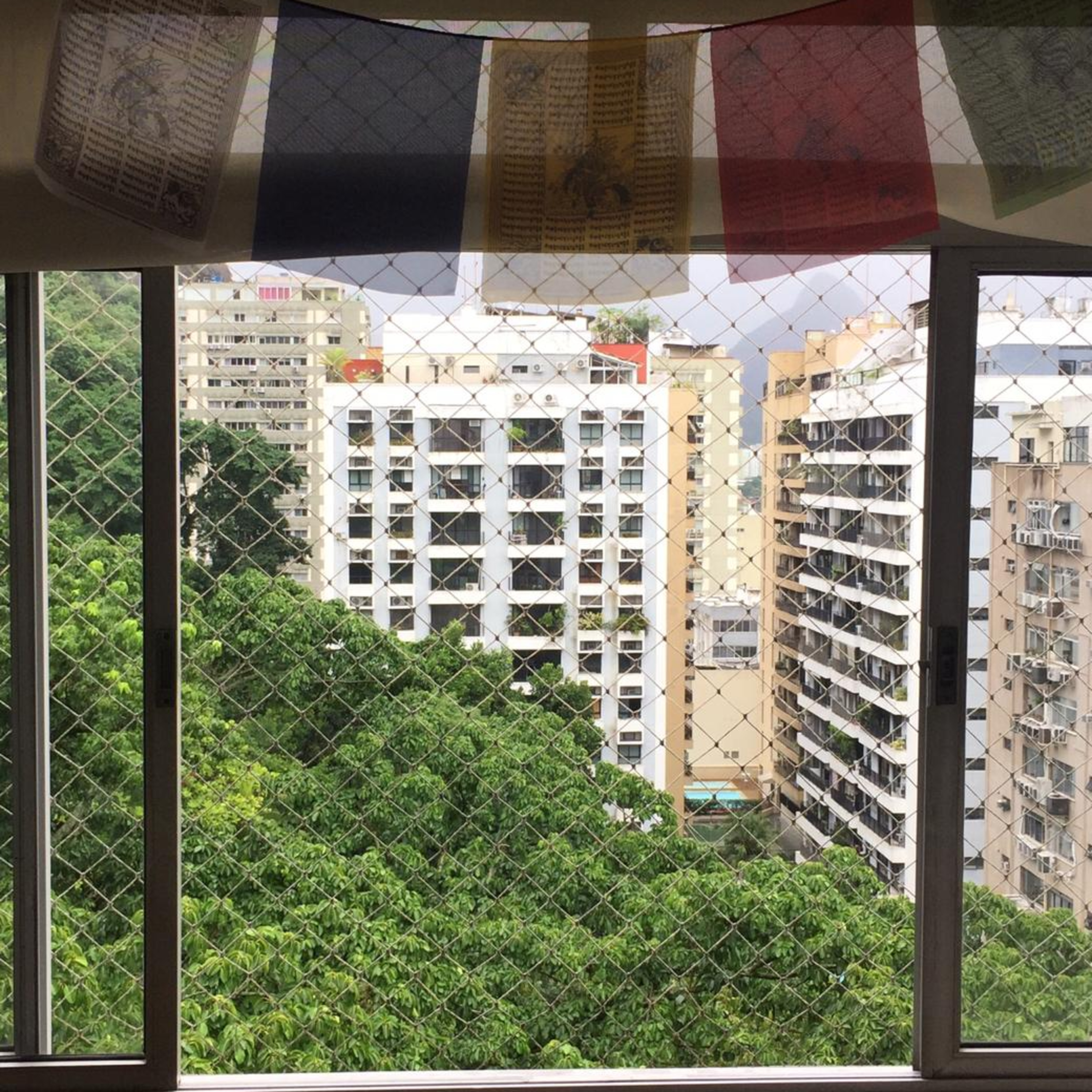 Vozes da Quarentena