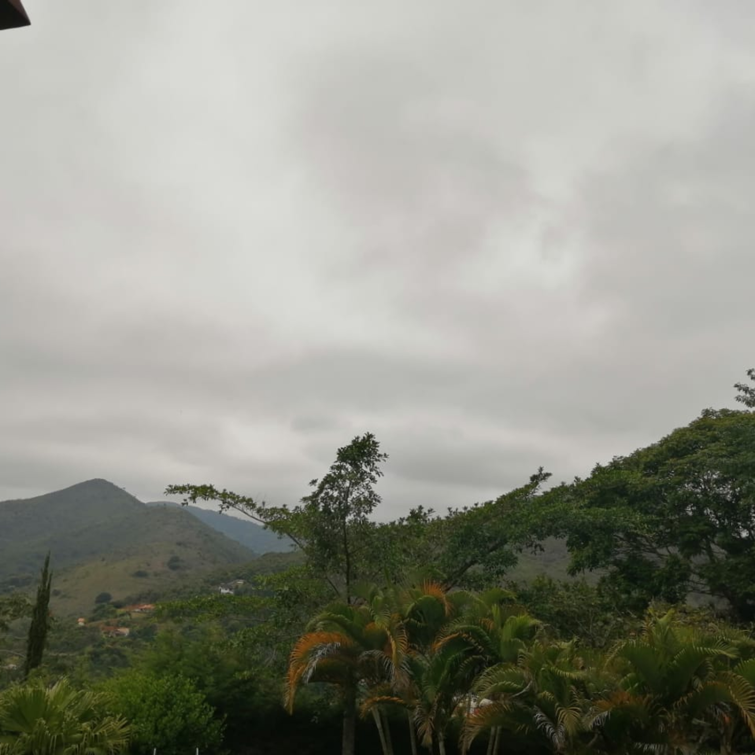 Vozes da Quarentena