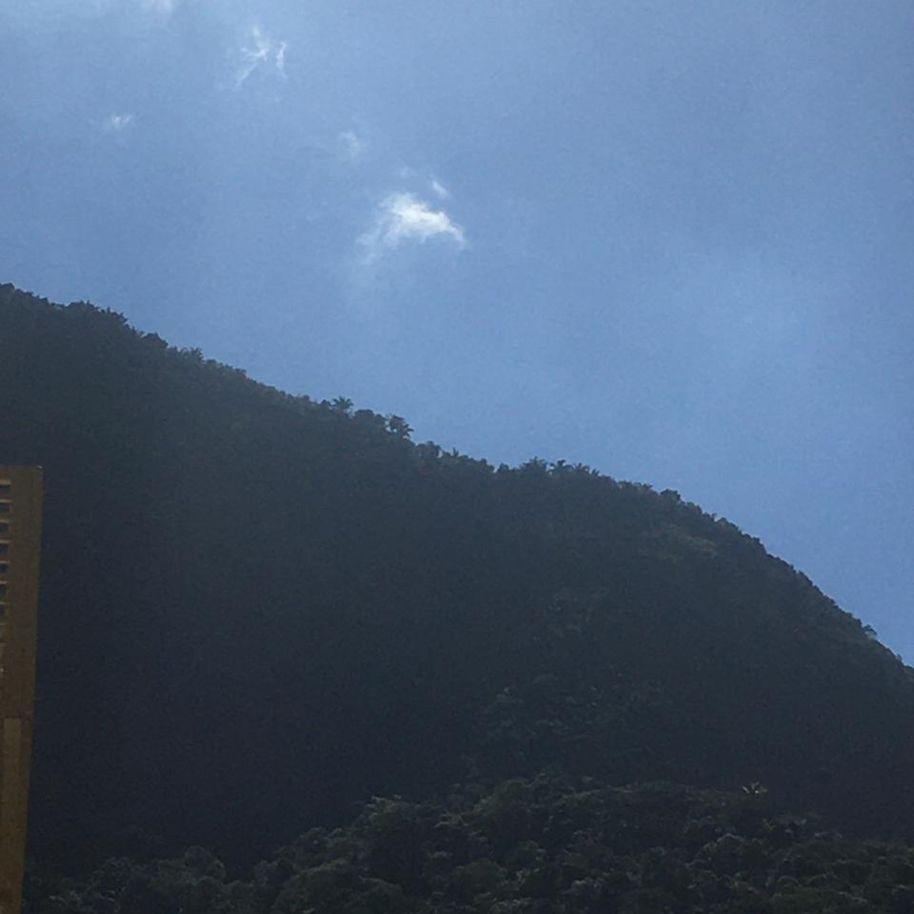 Vozes da Quarentena