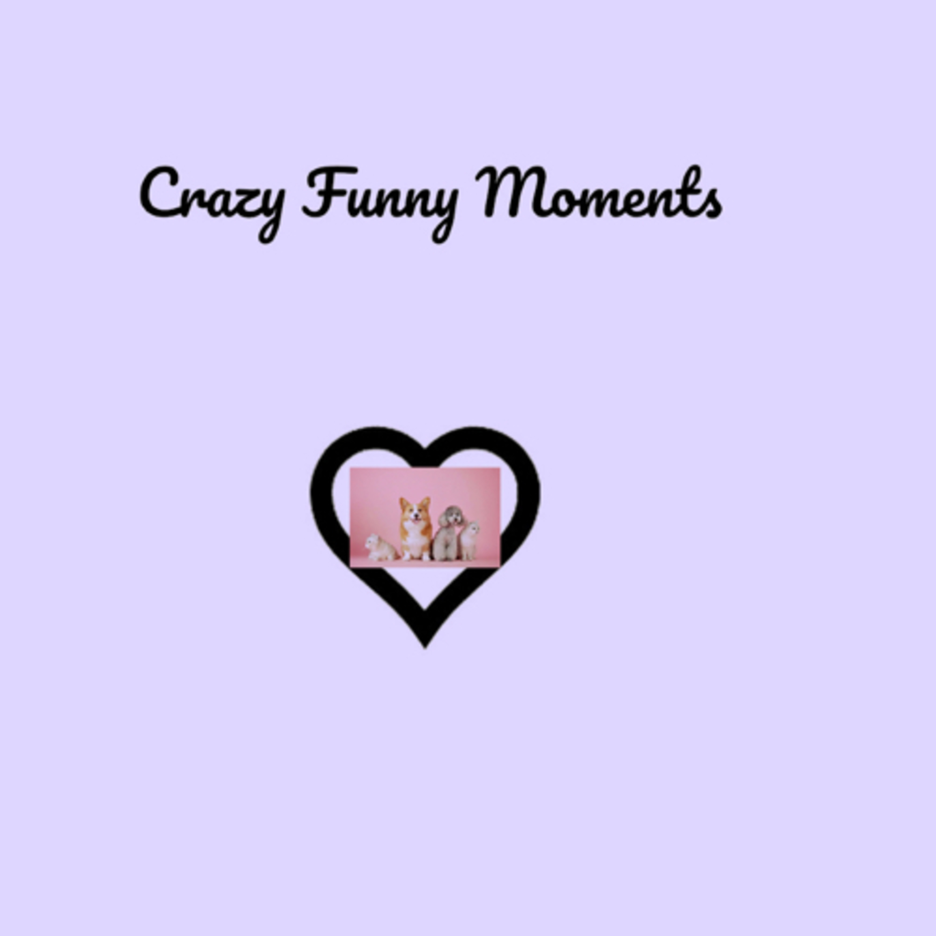 Crazy funny animal moments