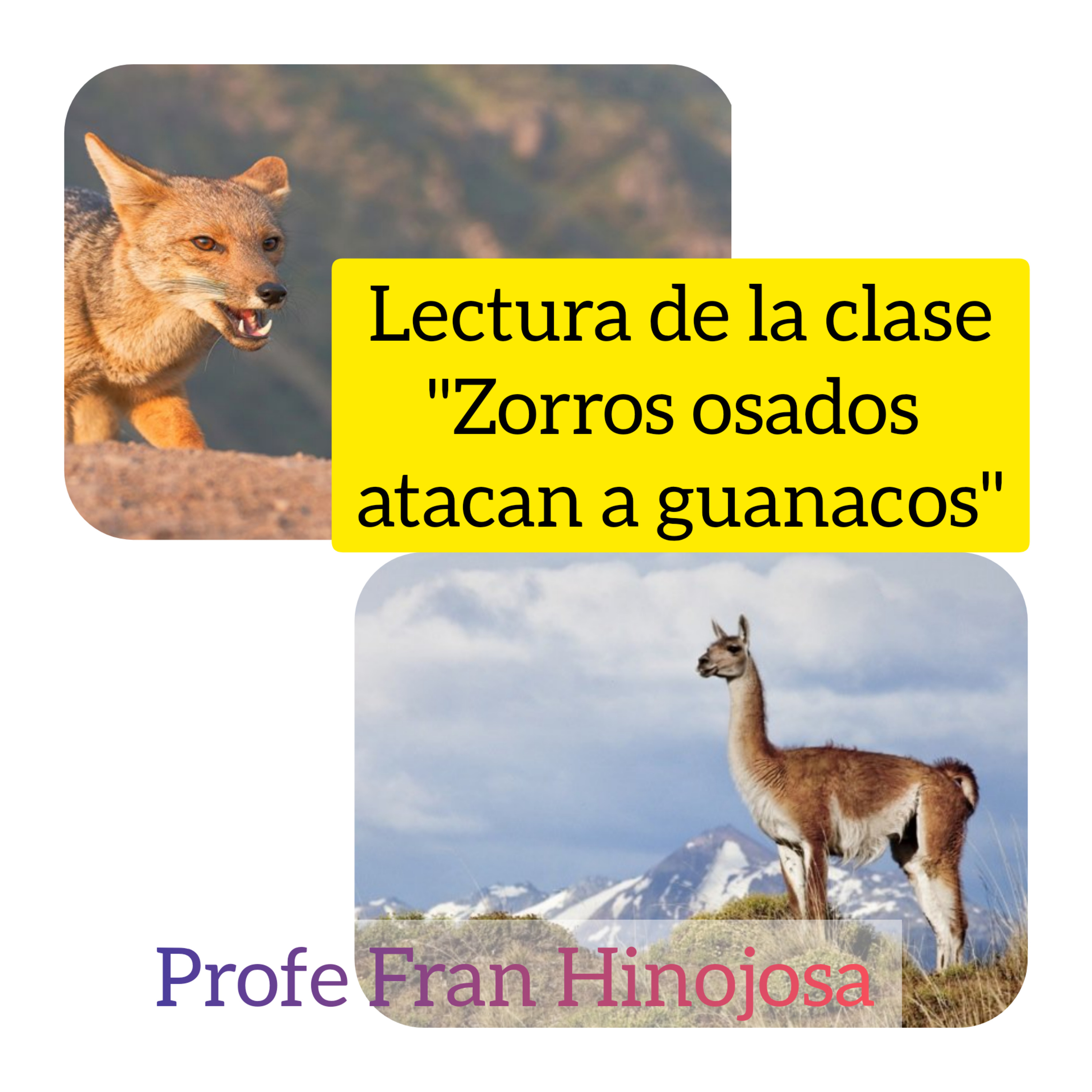 Aula Profe Fran