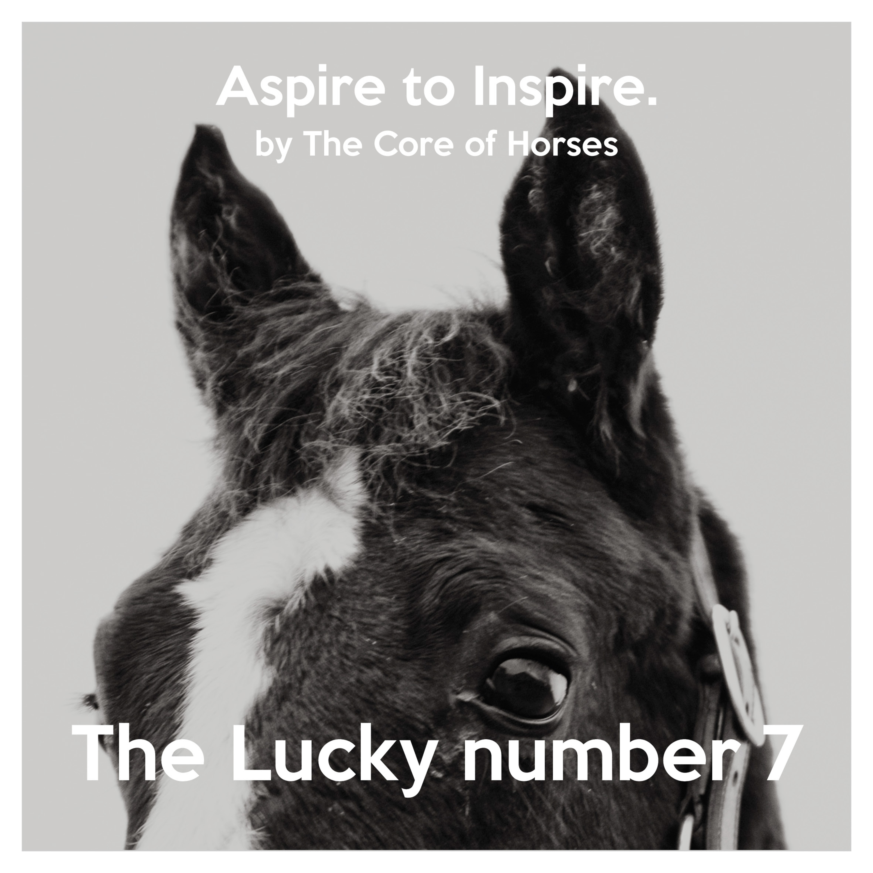 Aspire to Inspire by The Core of Horses