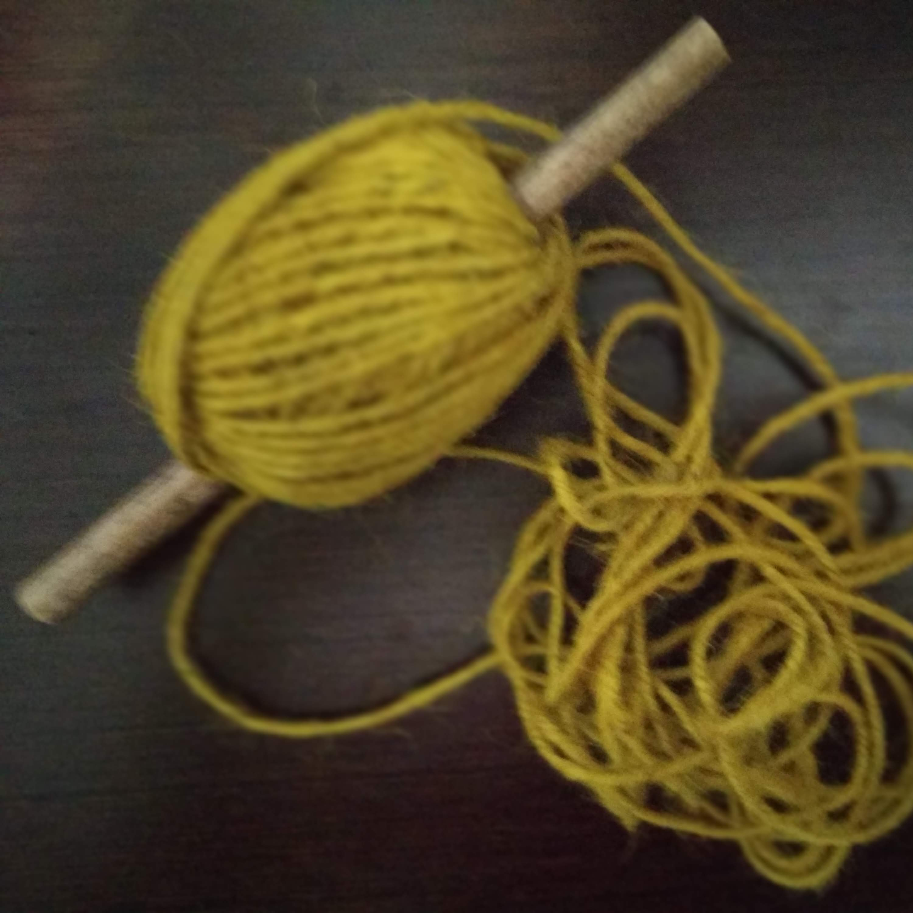 Educando Girasoles