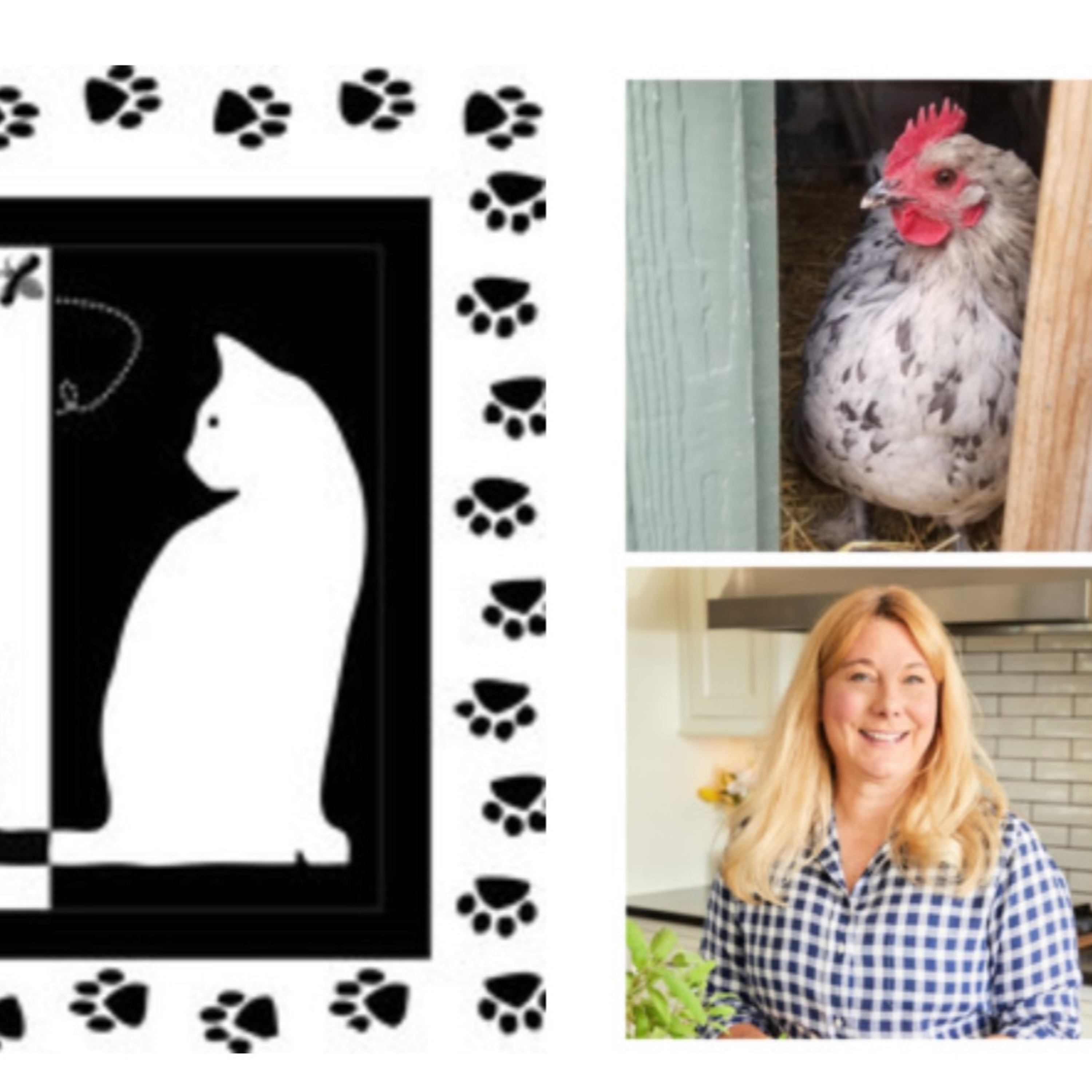 The Well-Seasoned Librarian: Mixing Cookbooks and Conversation
