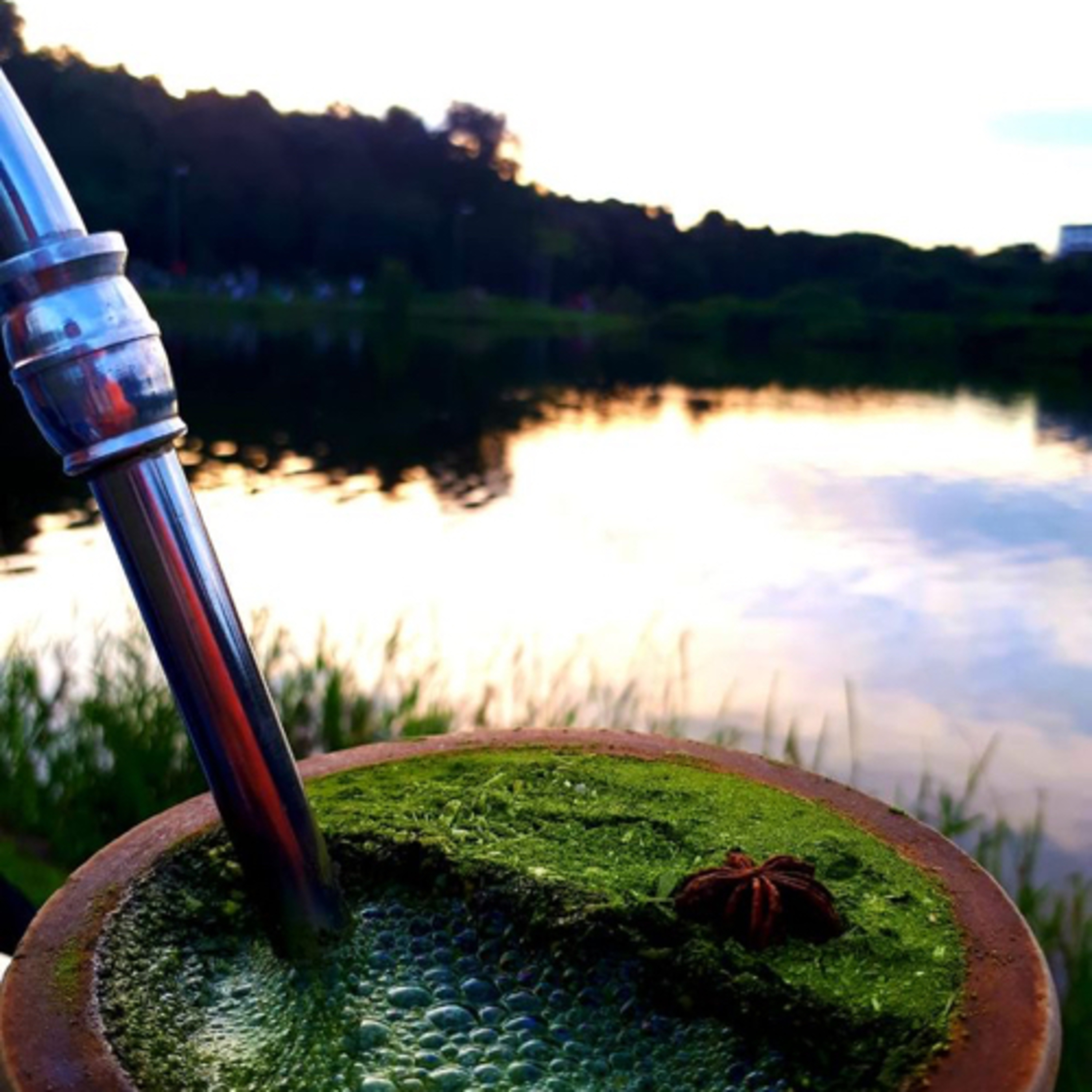 Poesia do chimarrão de Glaucus Saraiva thumbnail