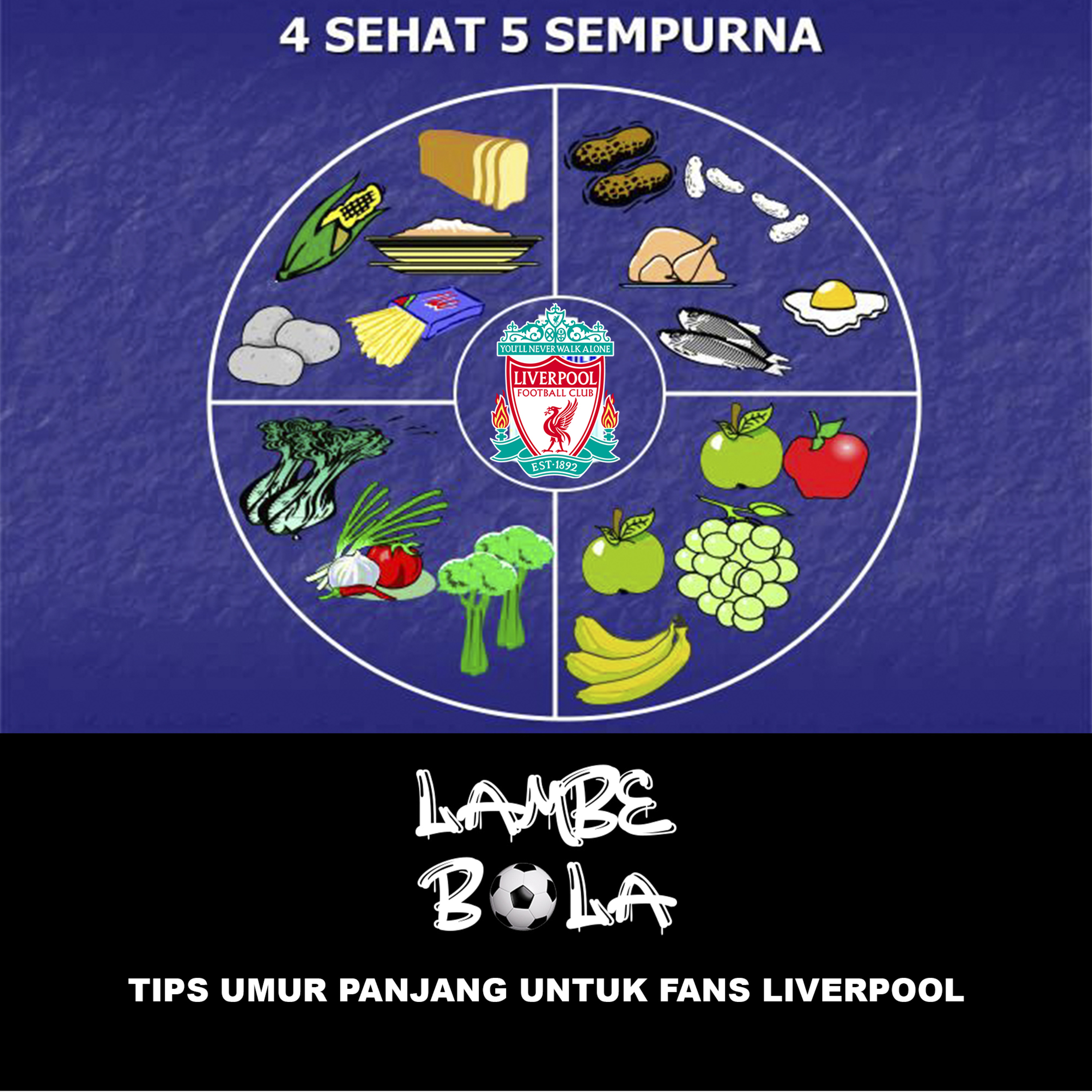 LAMBE BOLA