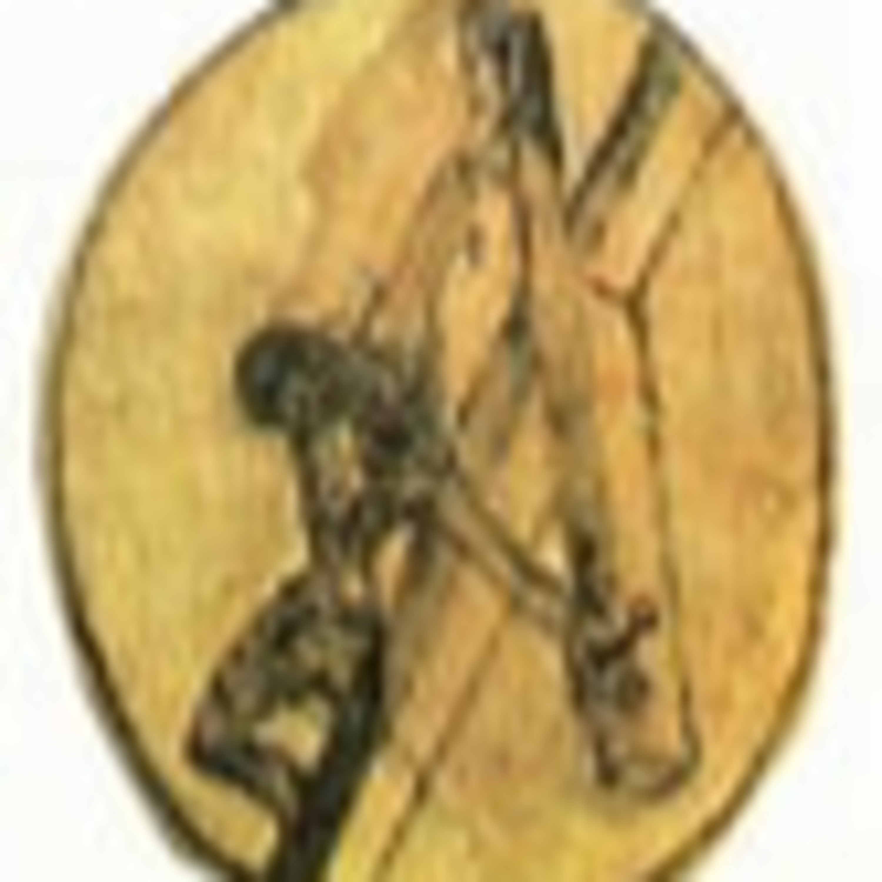 LANSING DIOCESE WATCH DOLW