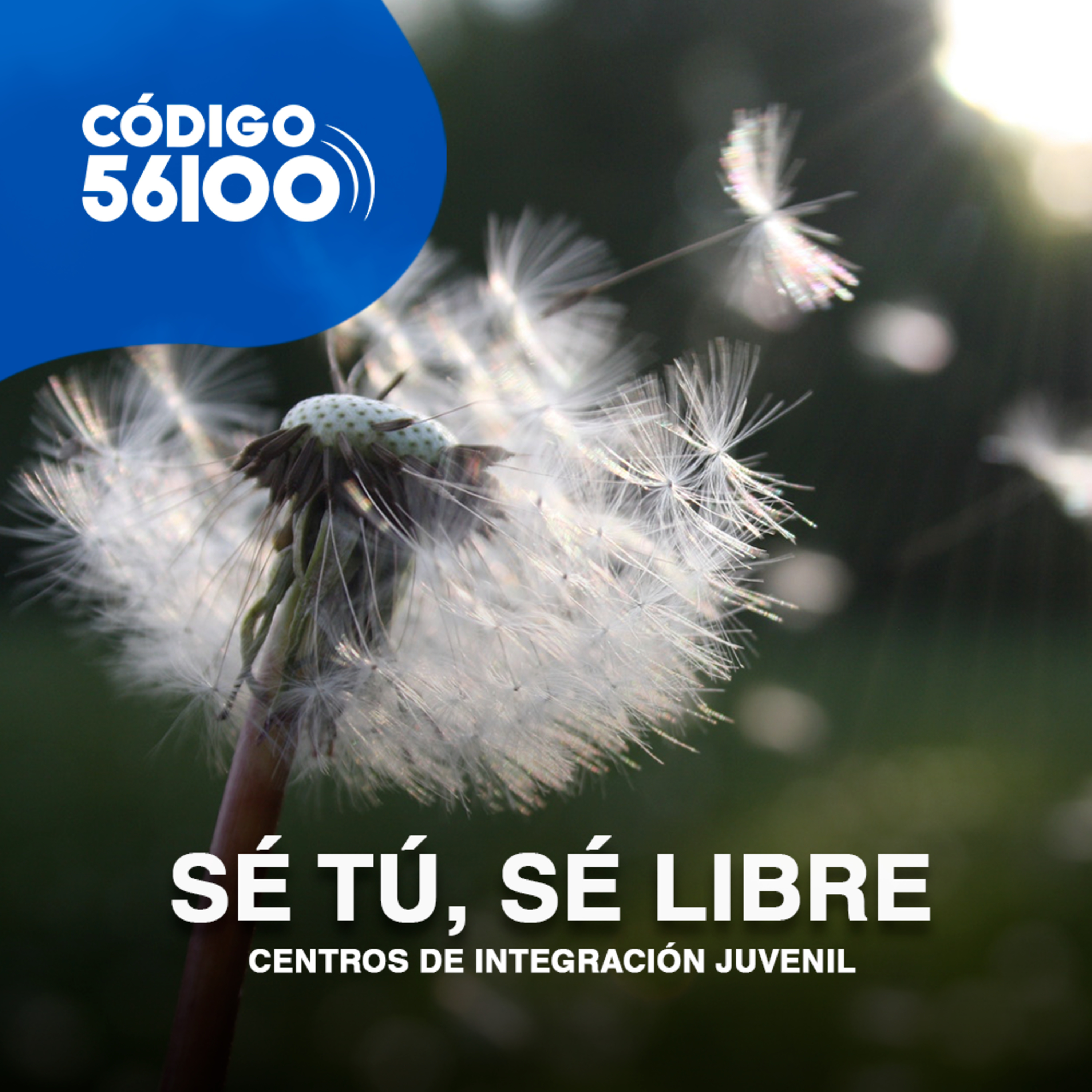 LA CODEPENDENCIA ¿QUÉ ES Y CÓMO EVITARLA? episode artwork