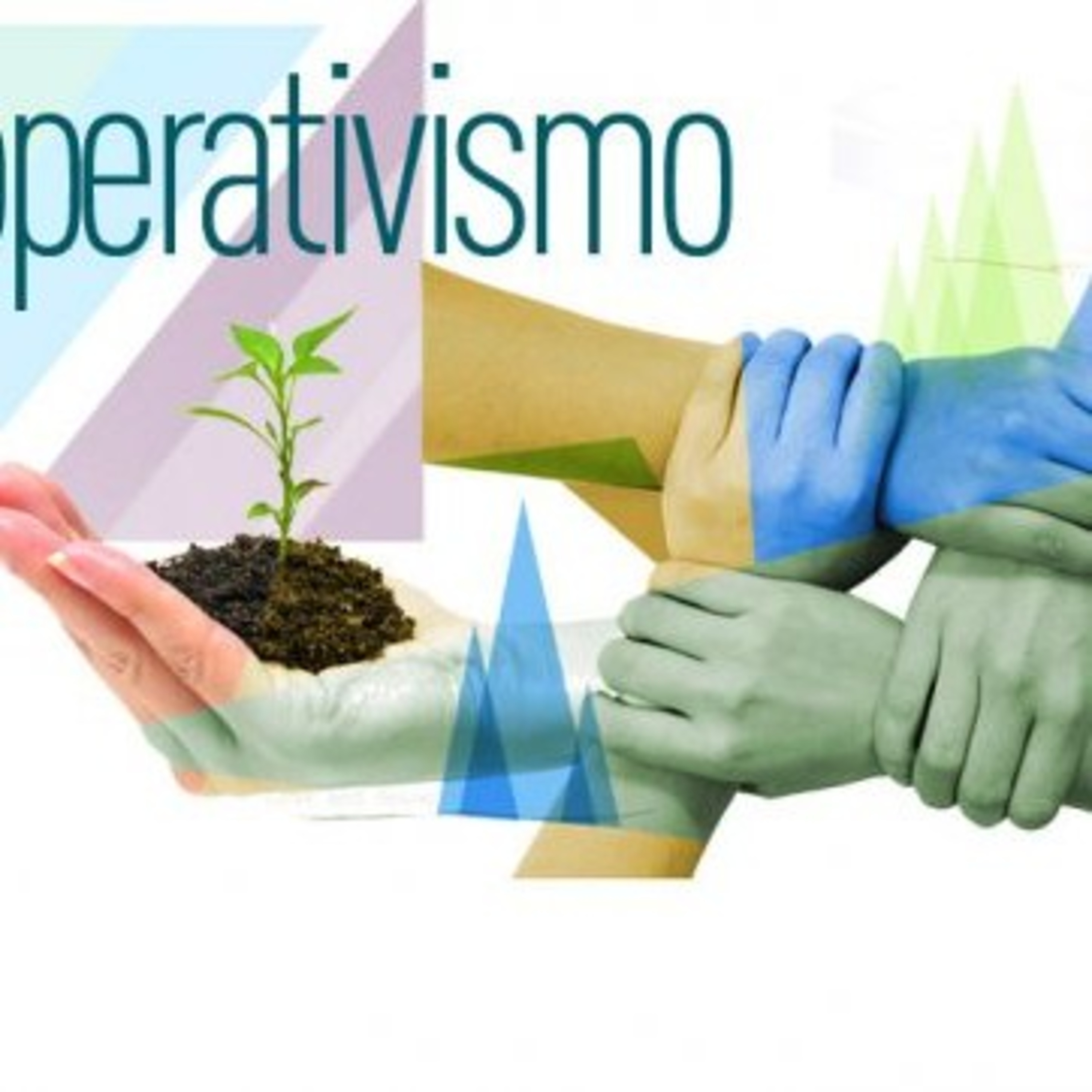 A Sustentabilidade Dos Empreendimentos da Economia Solidária: potencialidades e desafios