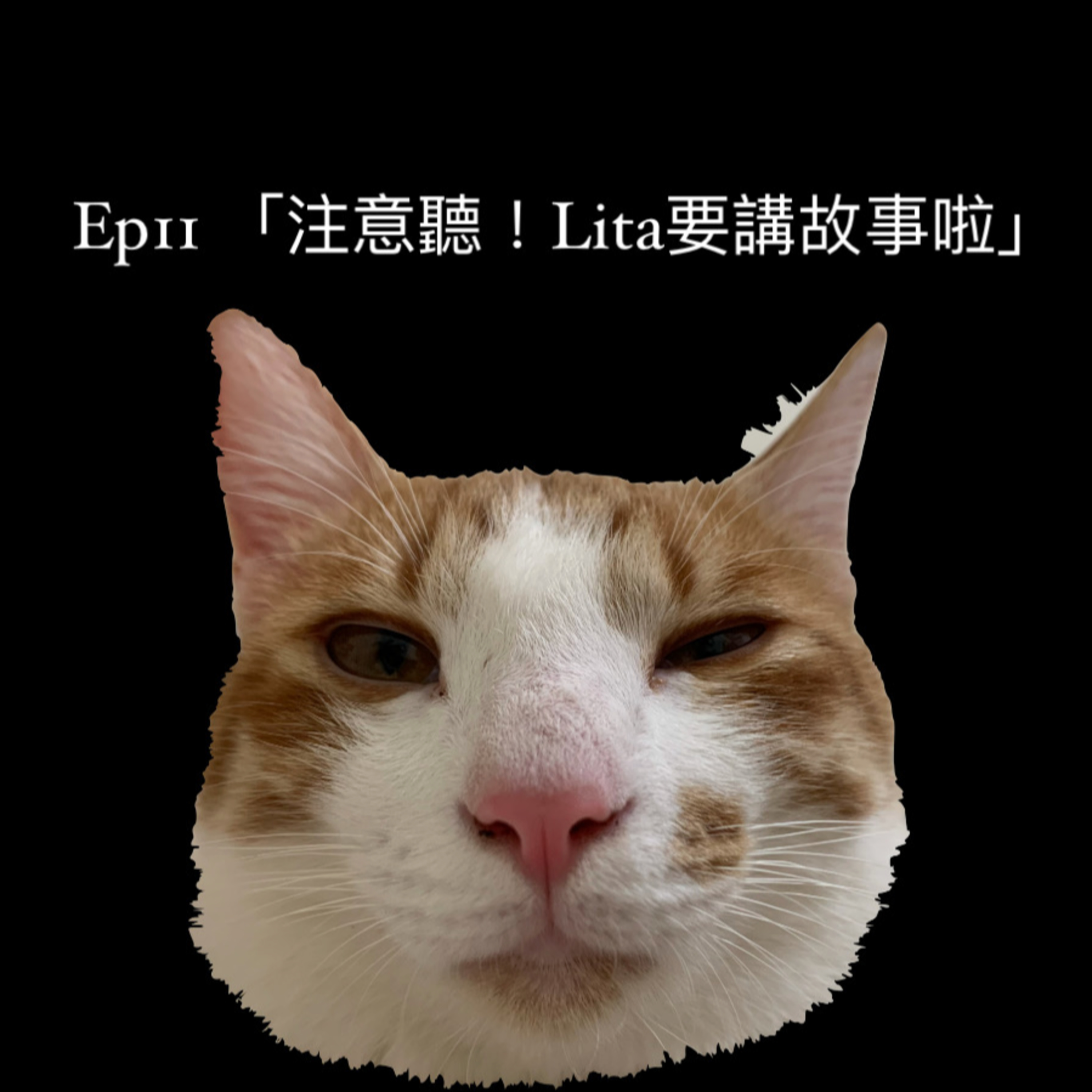 聽我爛蕭瑋