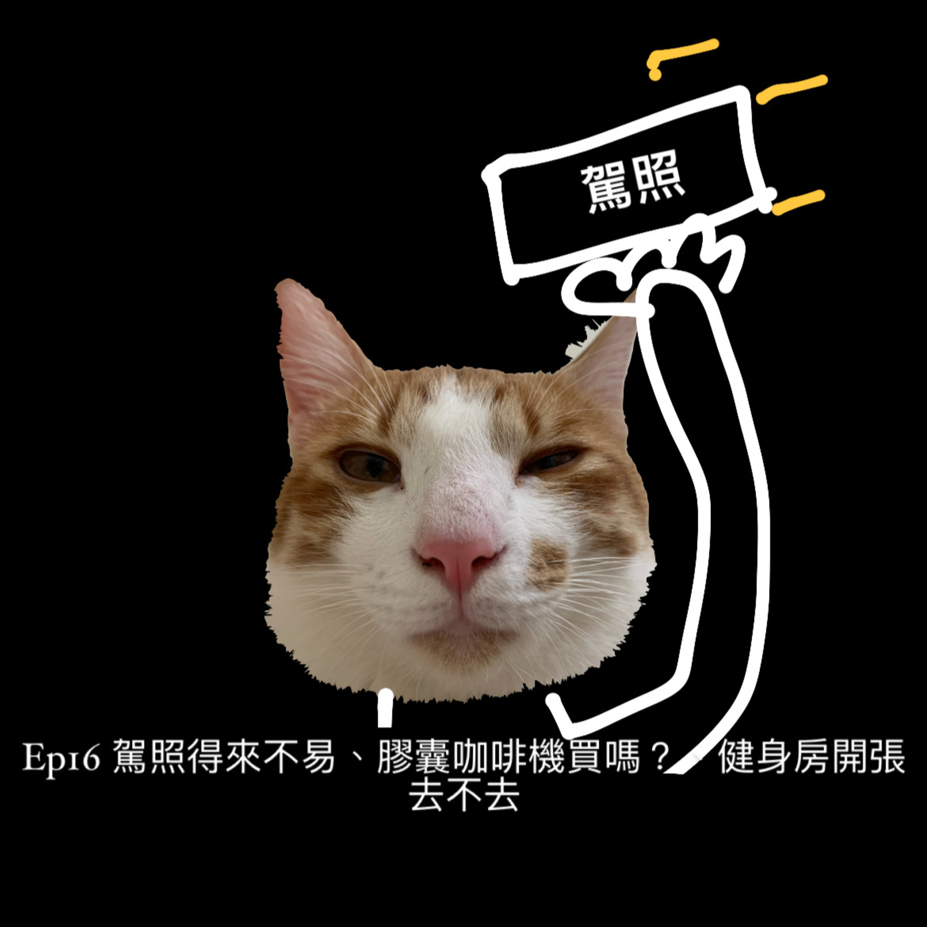 聽我爛蕭瑋