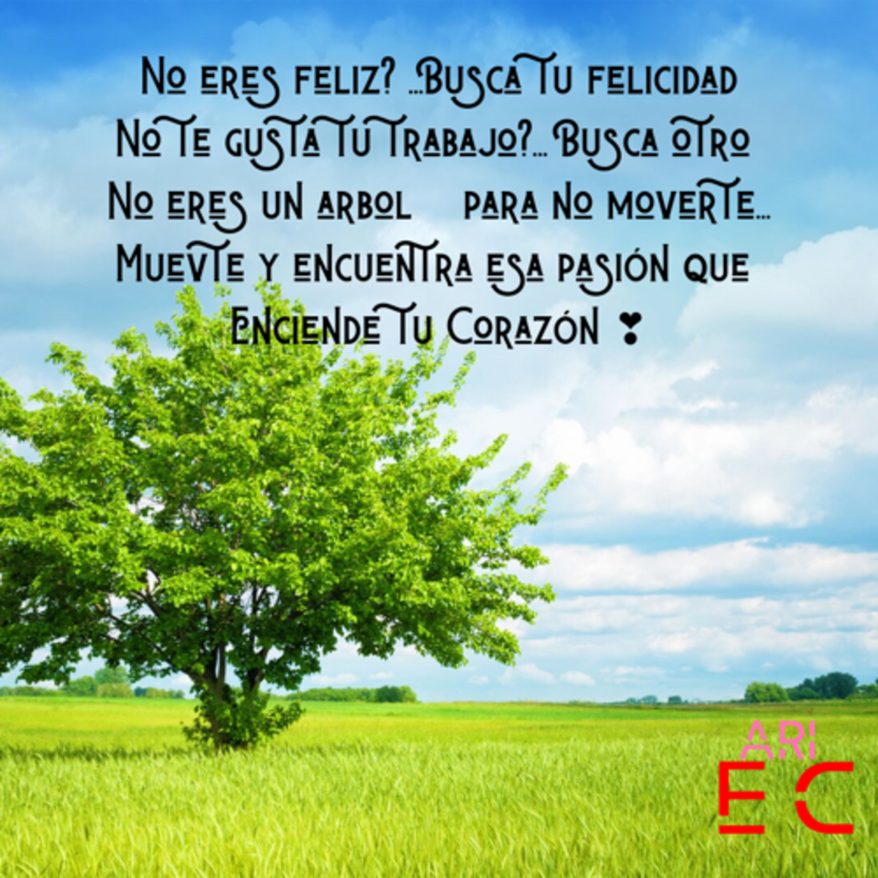 ¿No tienes los resultados que quieres? episode artwork