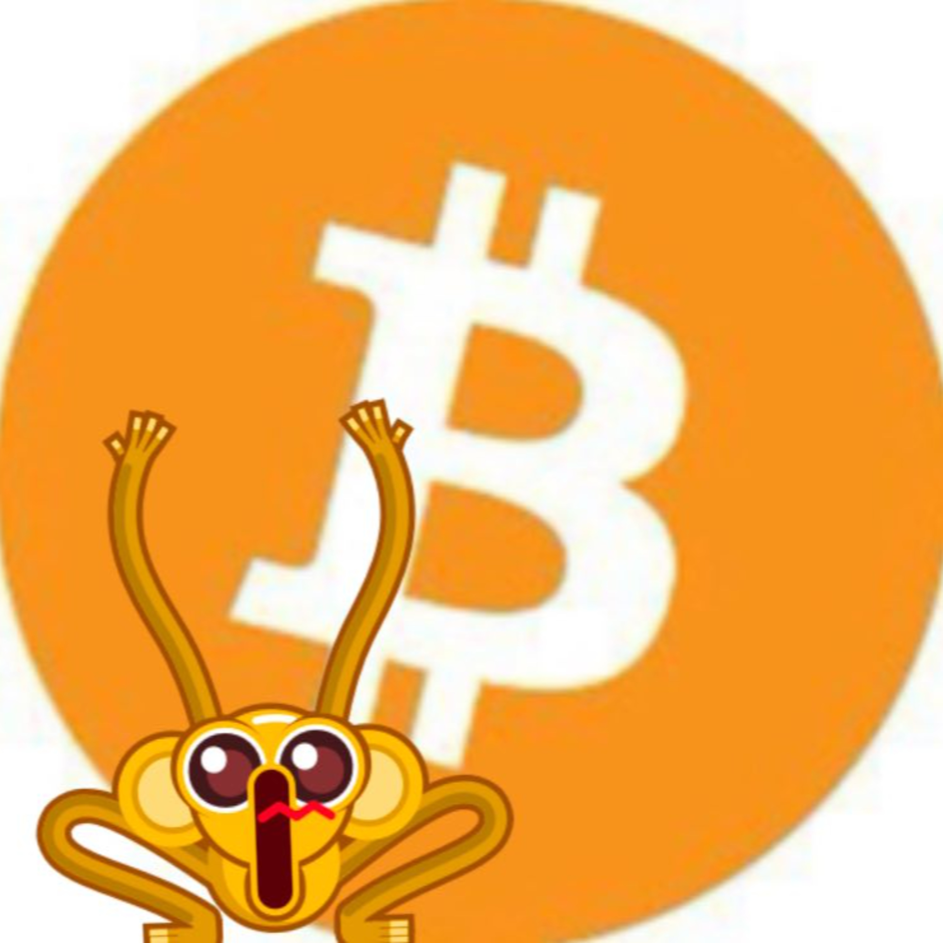 bitcoin informa