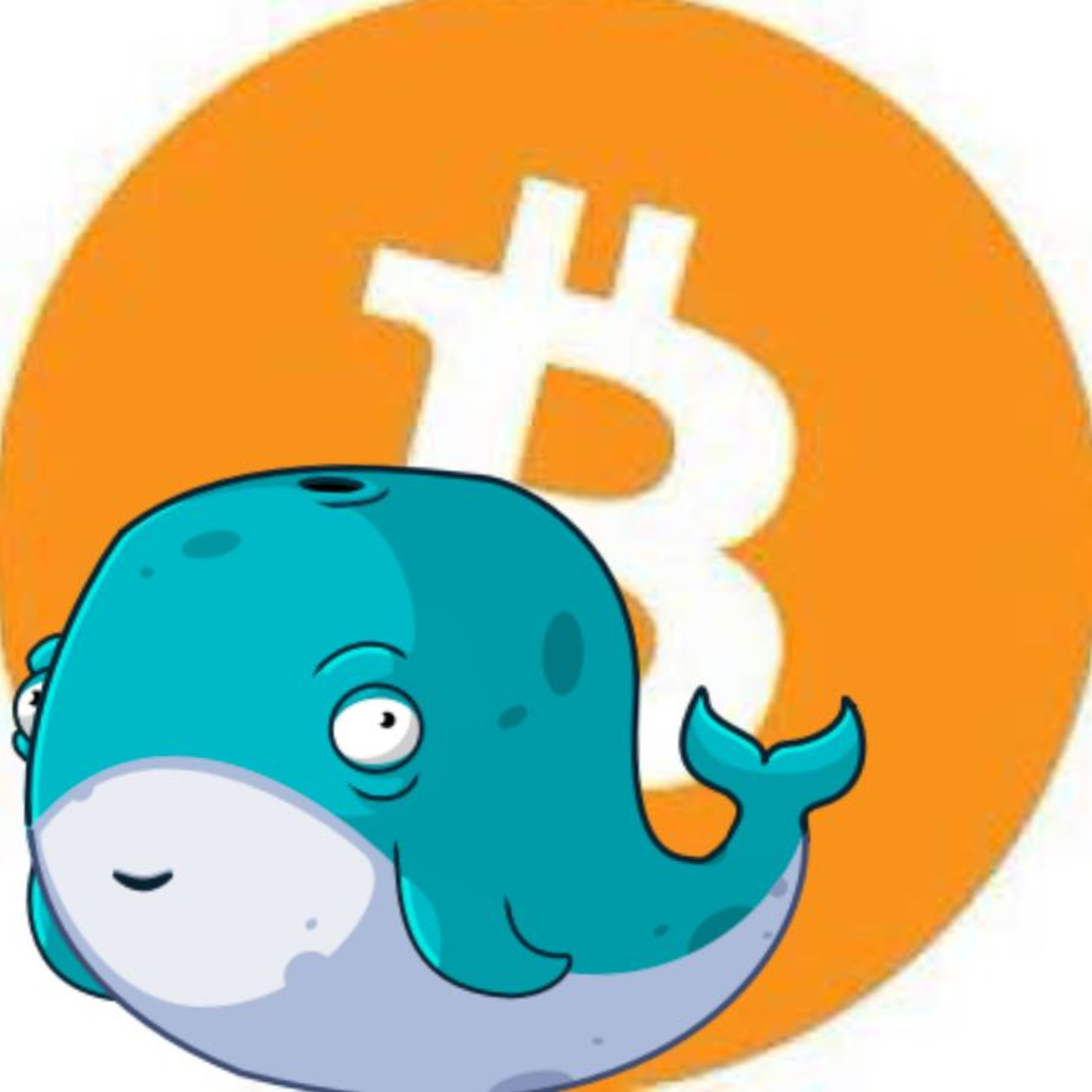 bitcoin informa