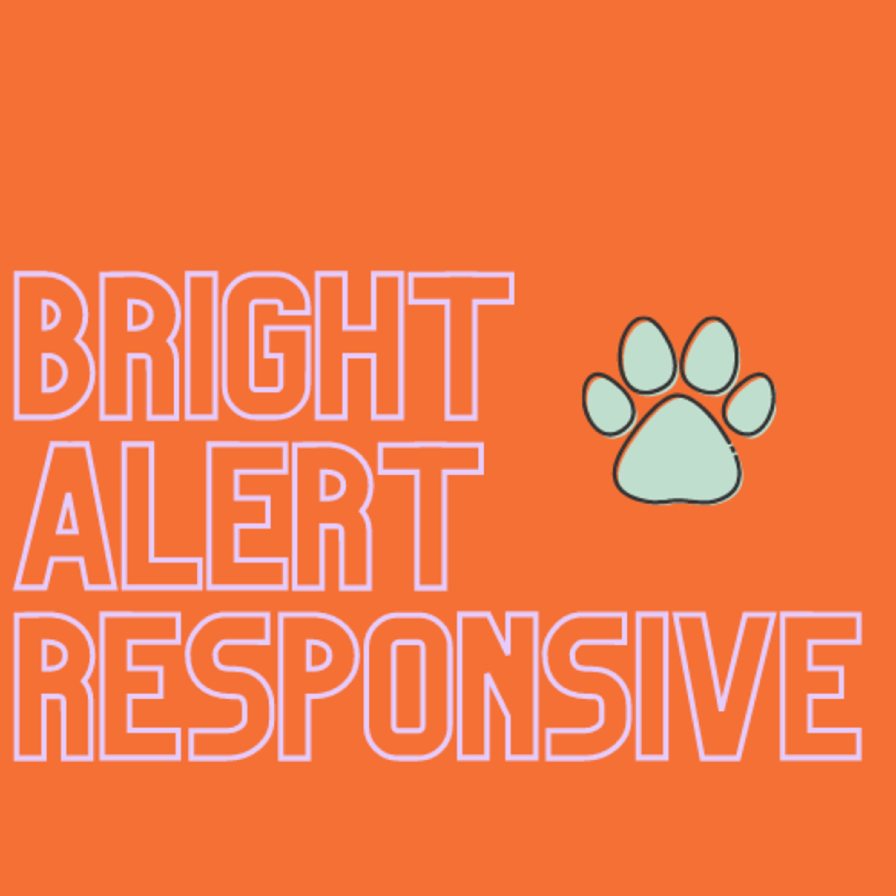 Bright, Alert, Responsive