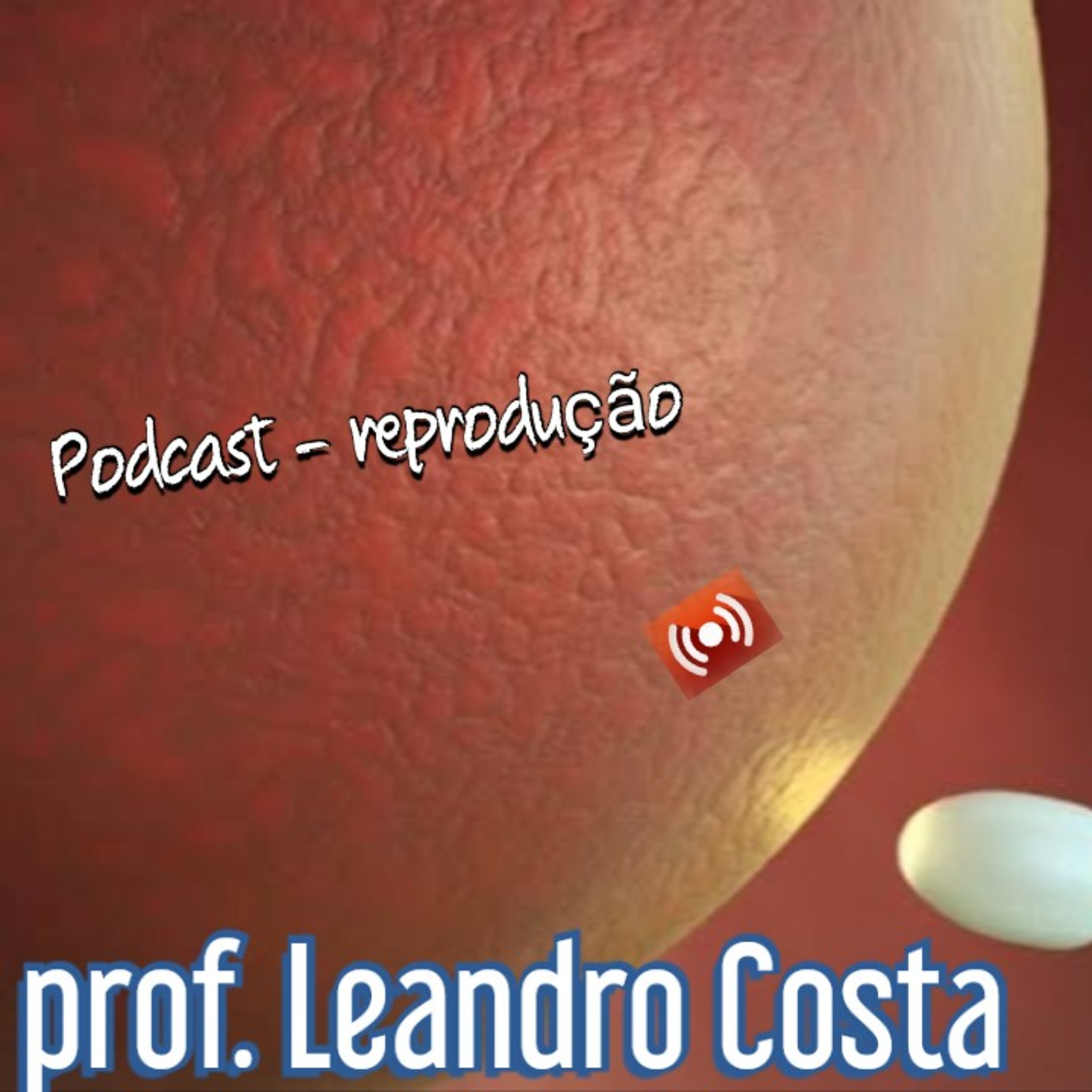 Aula - Reprodução episode artwork