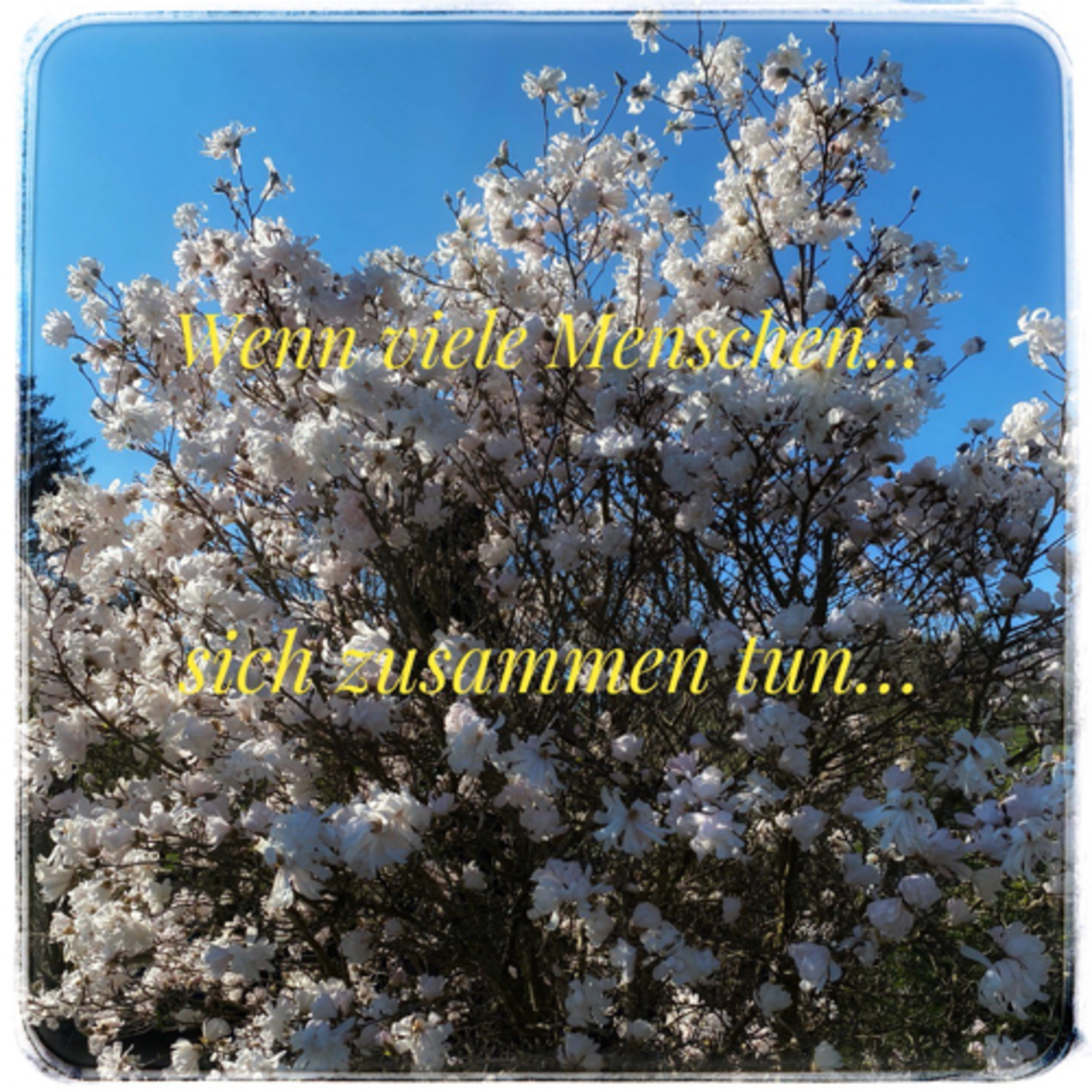 Love is always the answer Dagmar Fabijenna