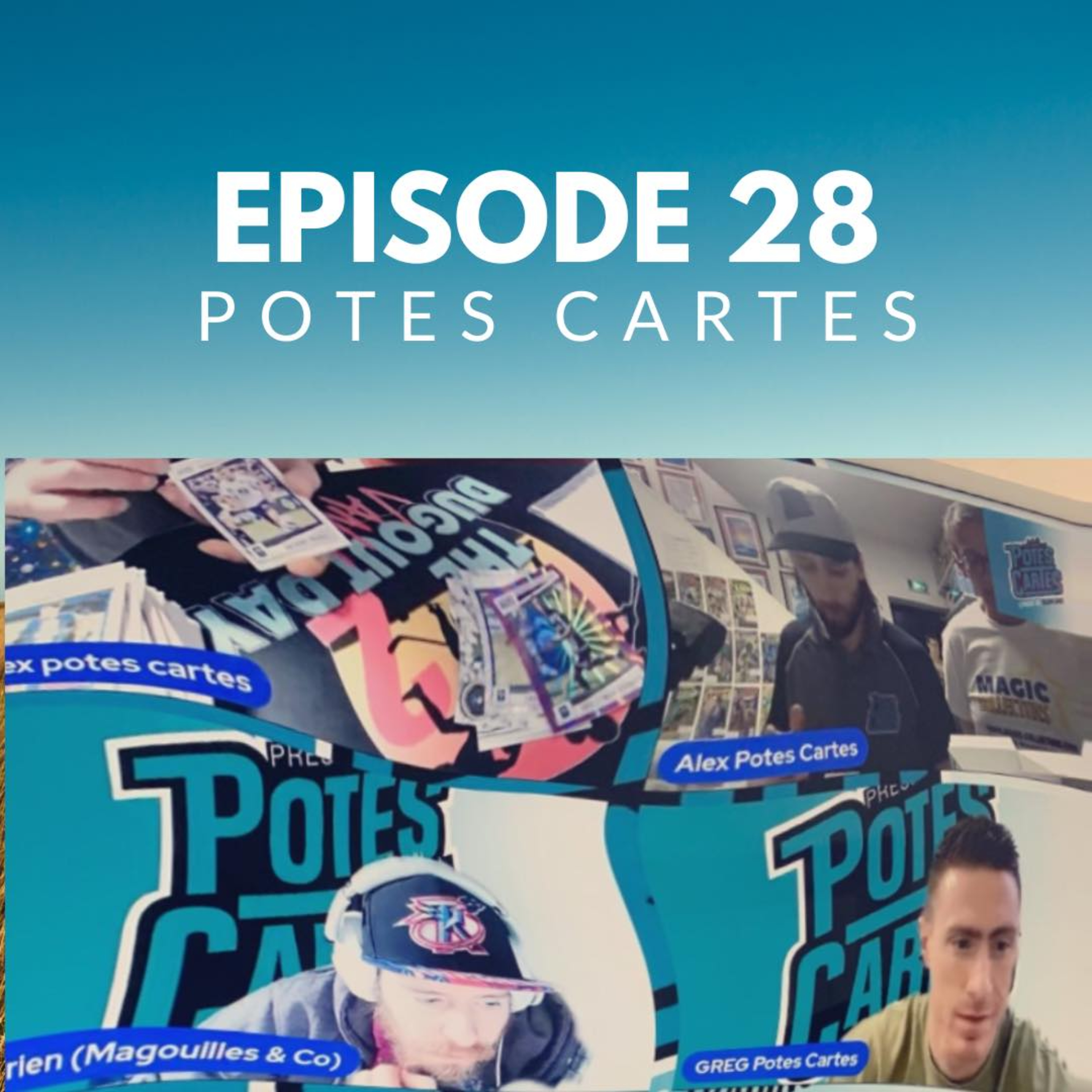 Potes Cartes