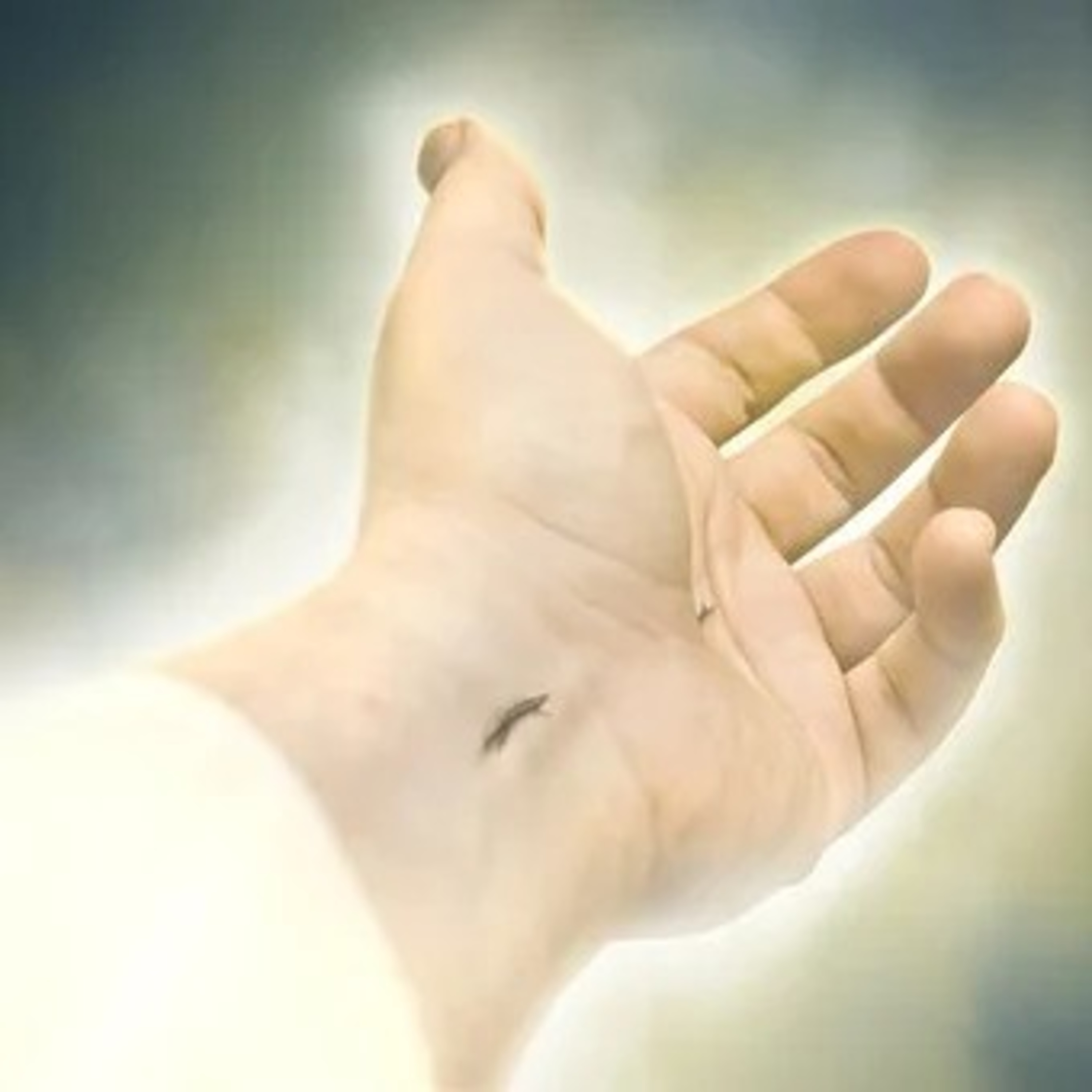 Life Connection