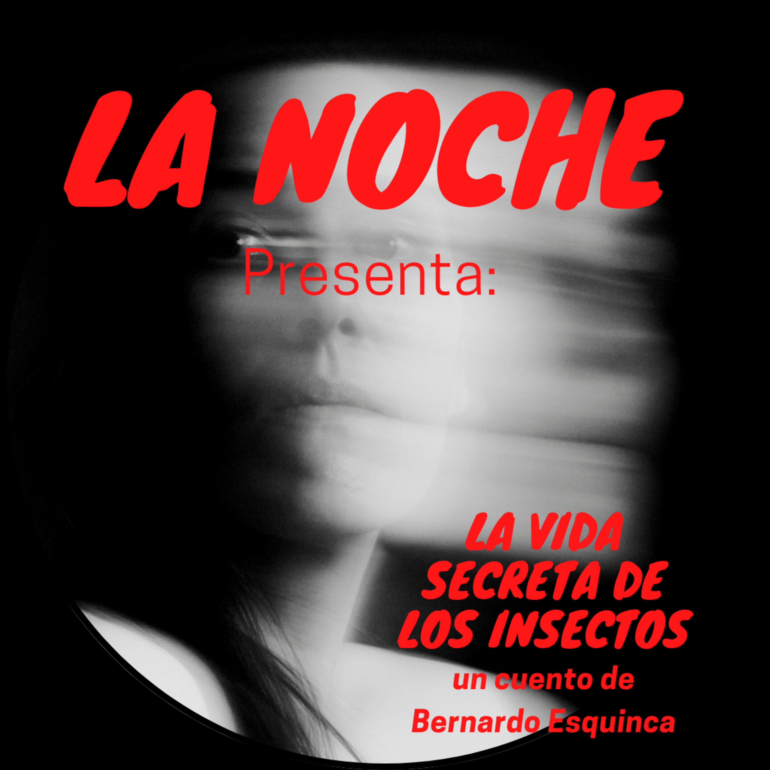 La Noche