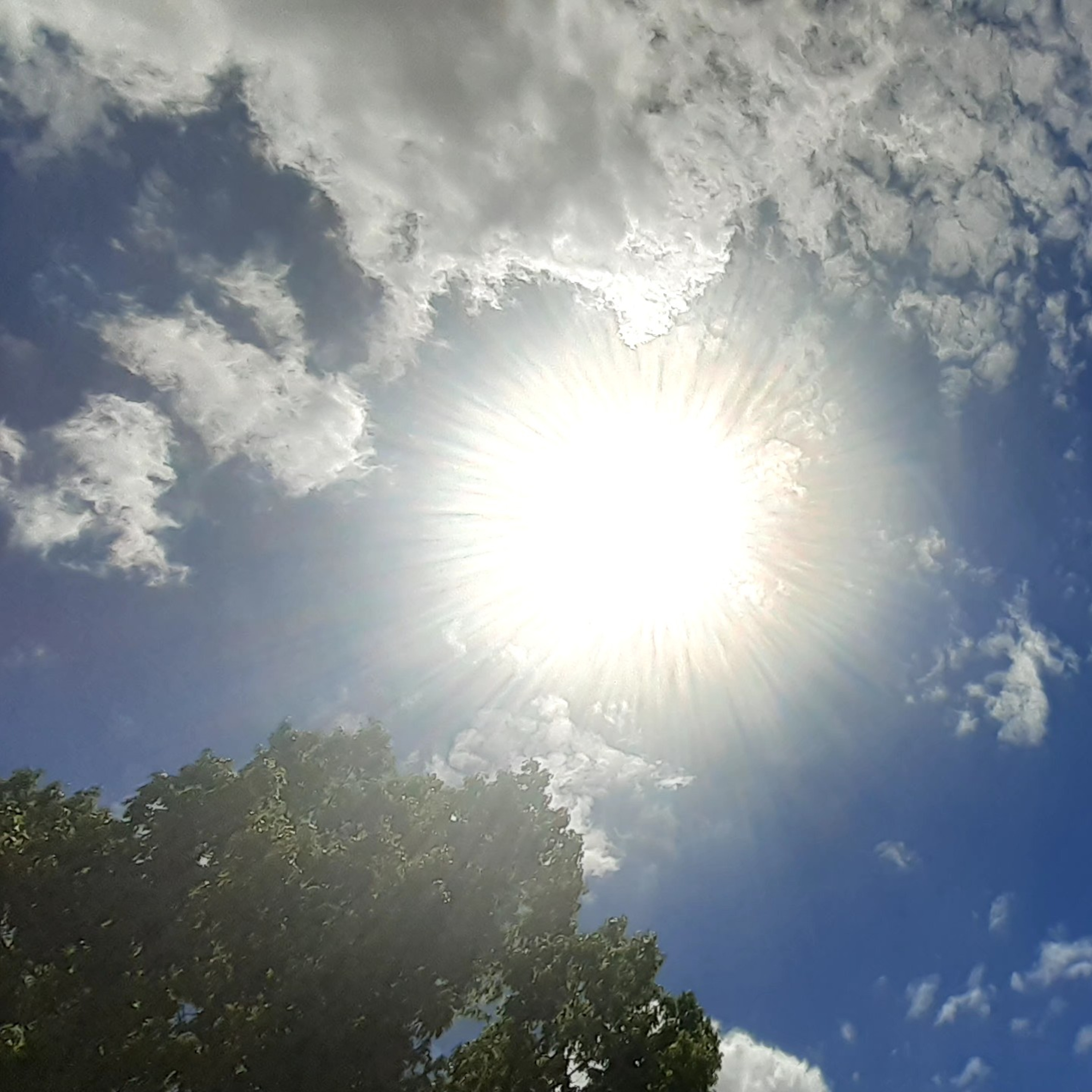 MR DMV REVIEVE THE TRUTH