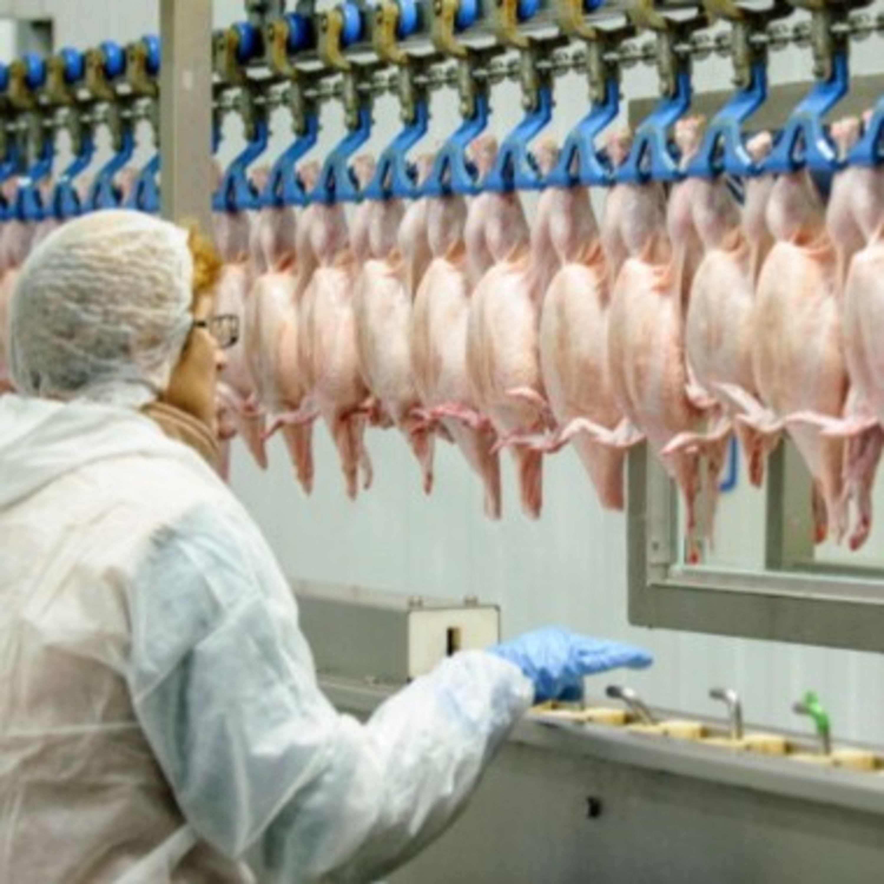 MR DMV REVIEVE THE TRUTH