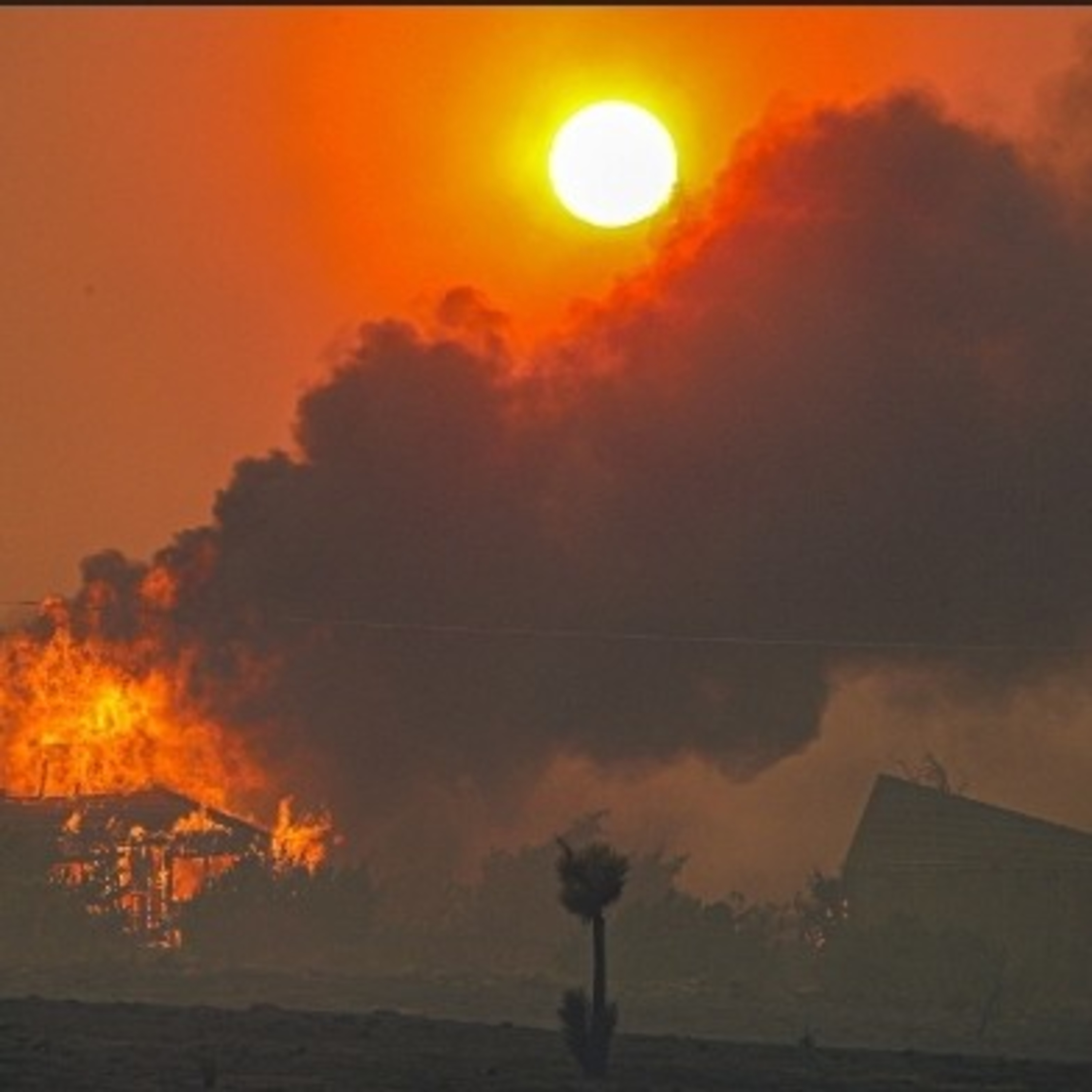 MR DMV REVIEVE THE TRUTH