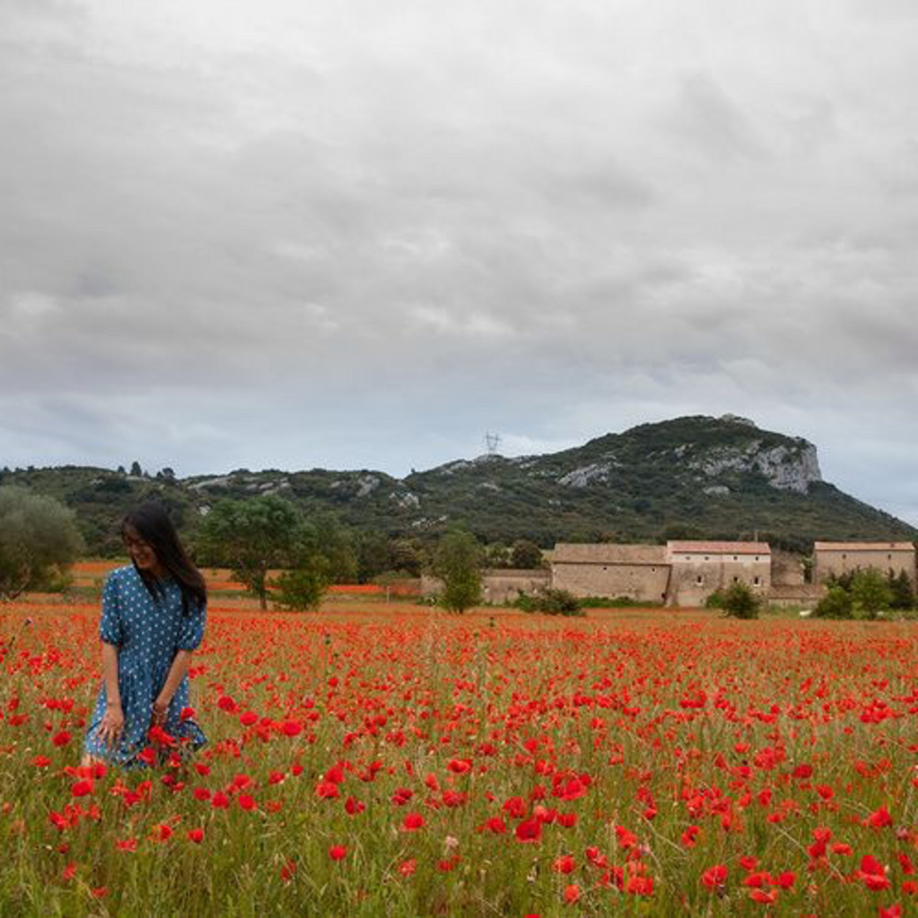 A la découverte de la Camargue et des Alpilles episode artwork