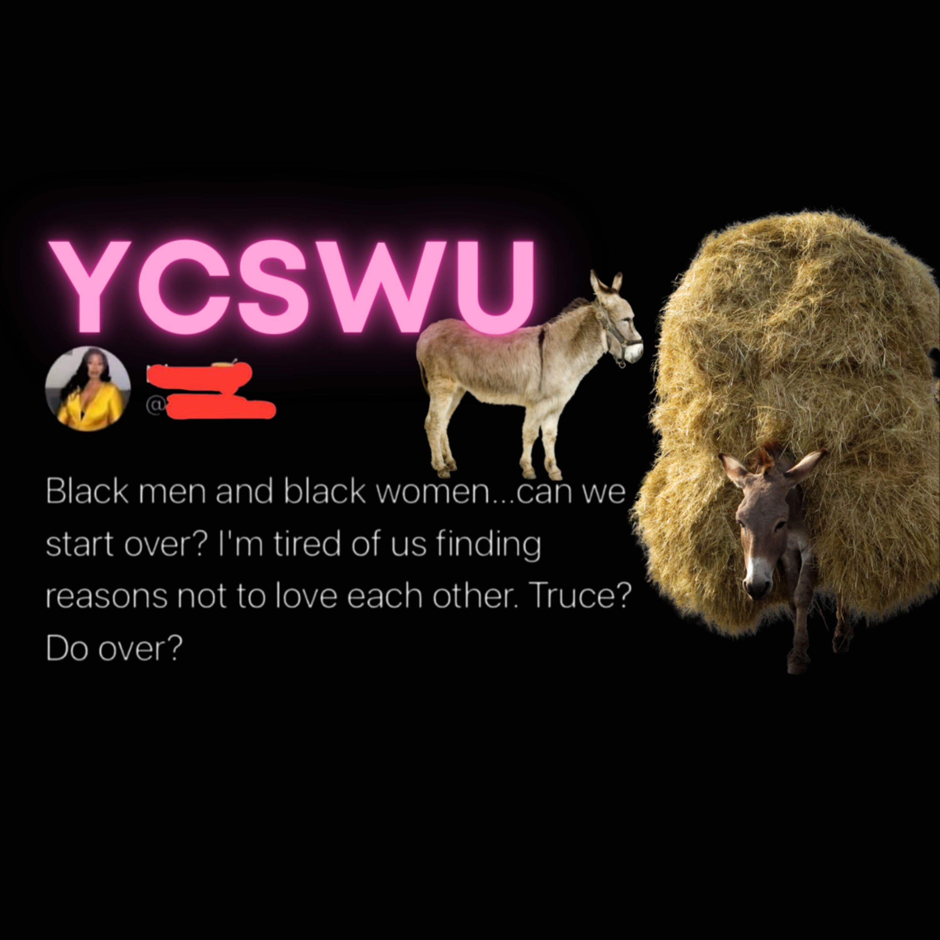 Women Like These are 🙄 ... #YCSWUSeries episode artwork