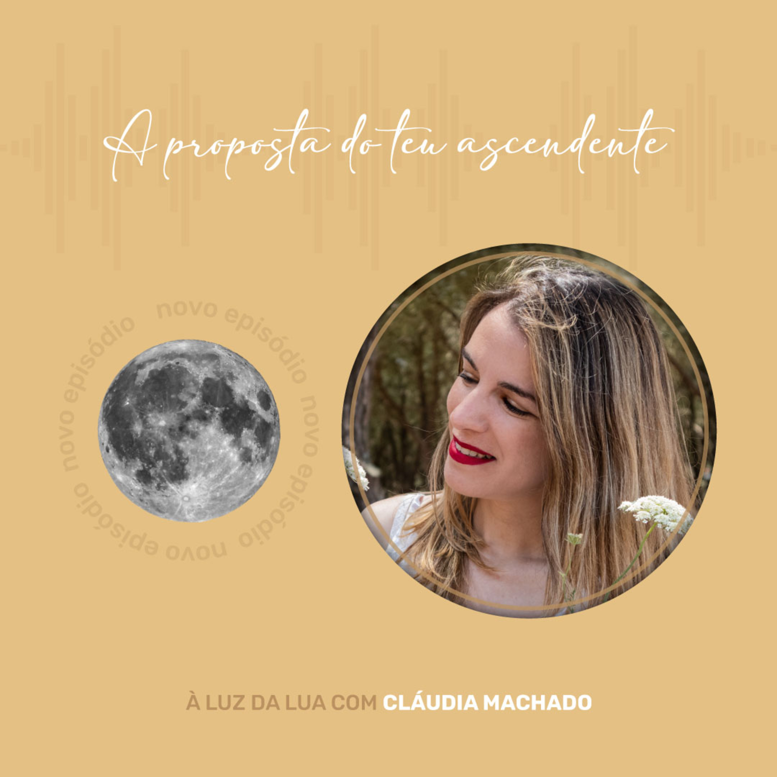 À Luz da Lua