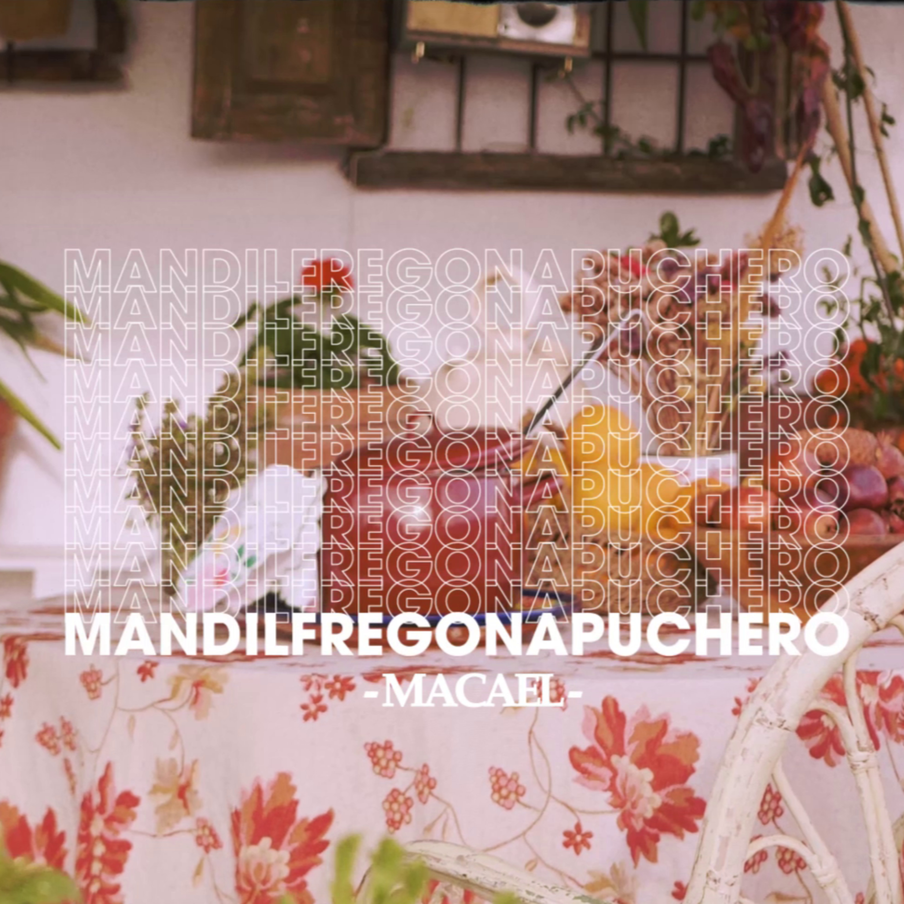 Mandil Fregona Puchero
