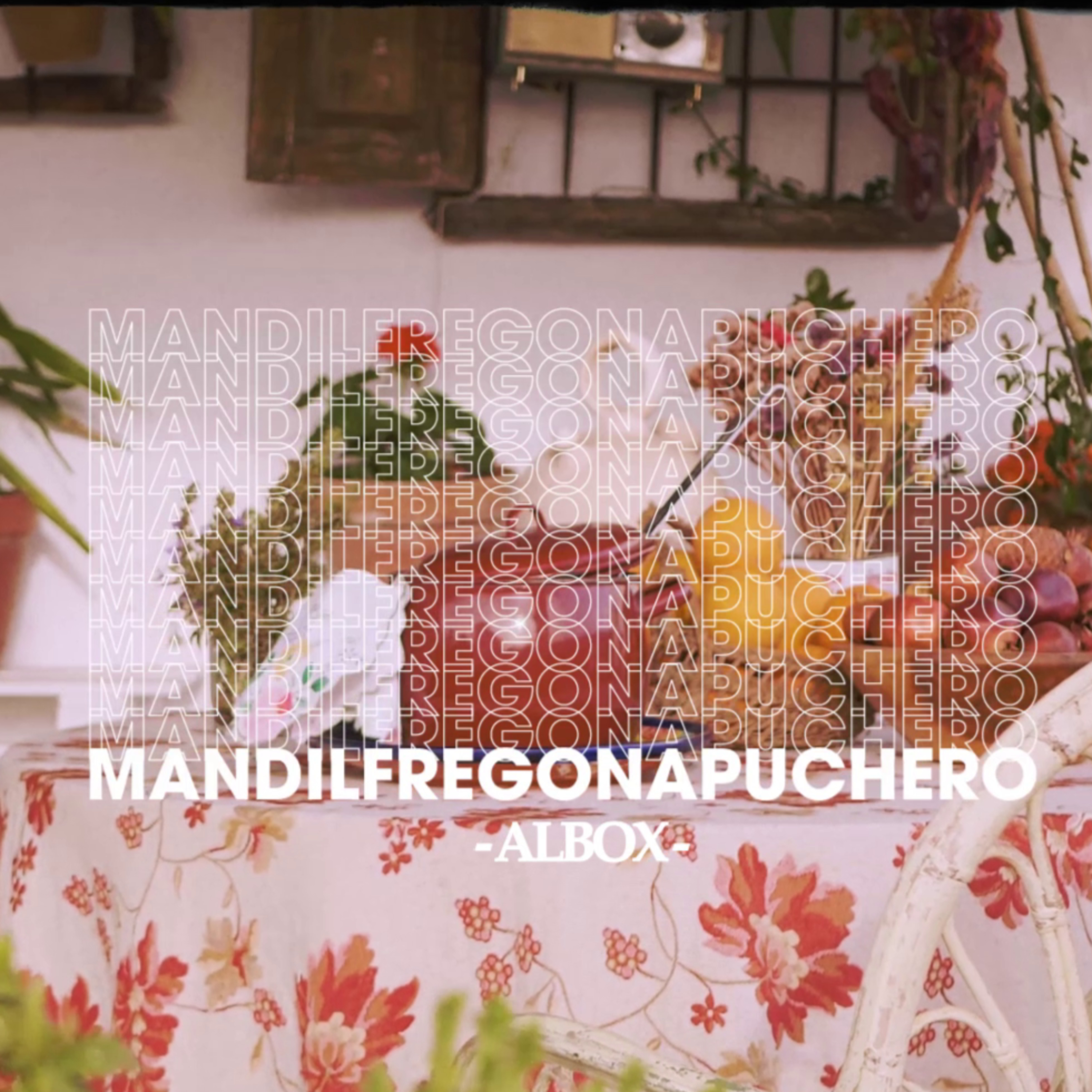 Mandil Fregona Puchero