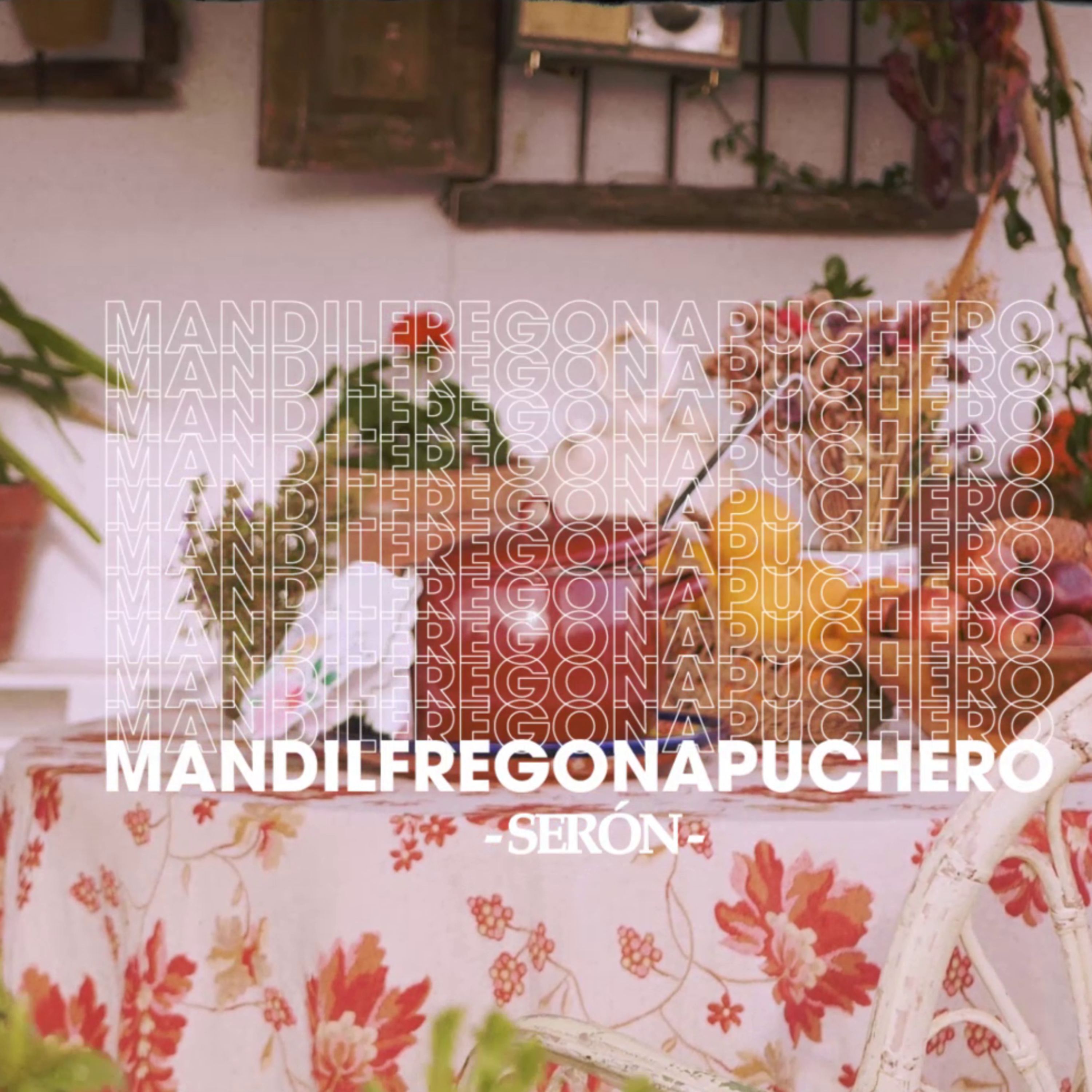 Mandil Fregona Puchero