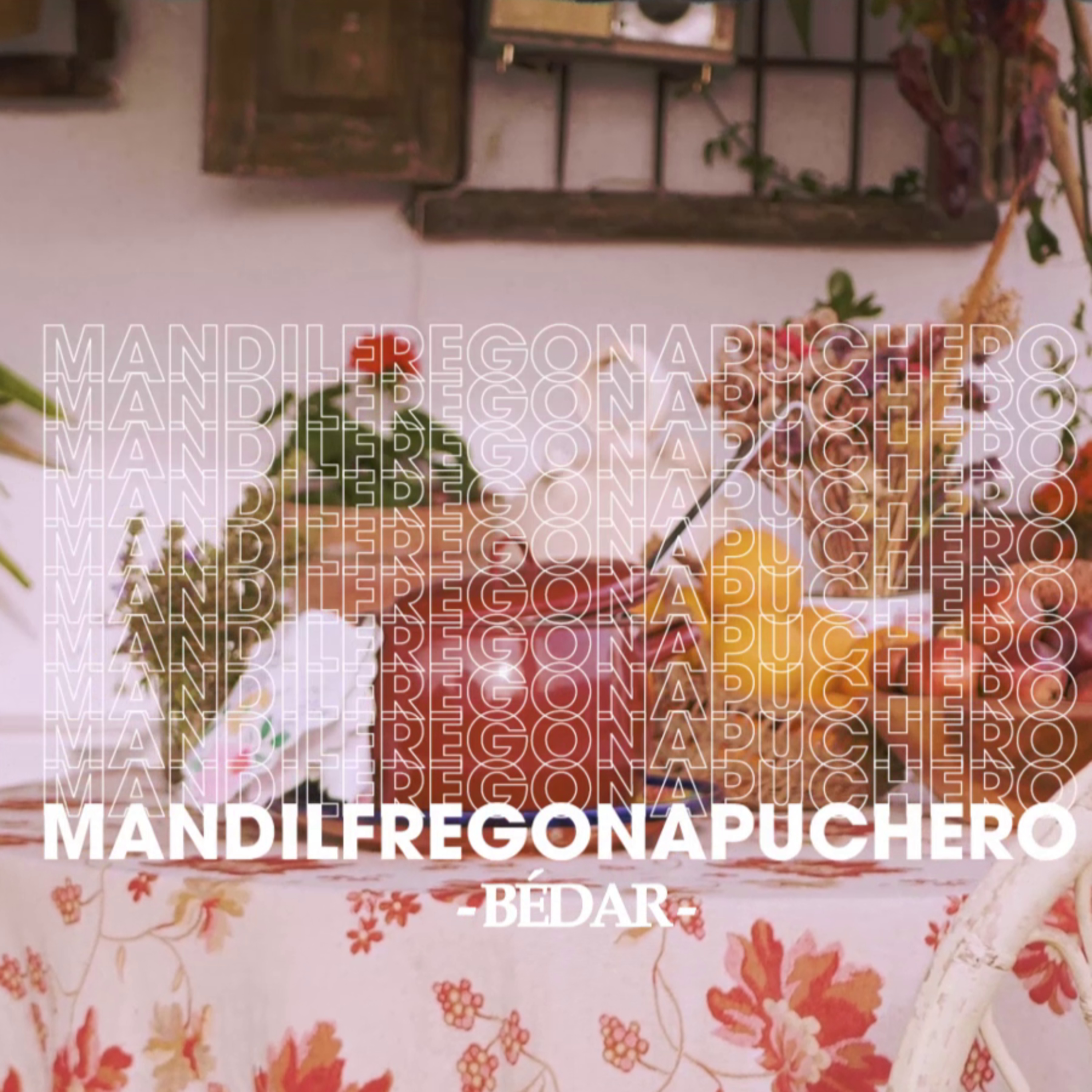 Mandil Fregona Puchero