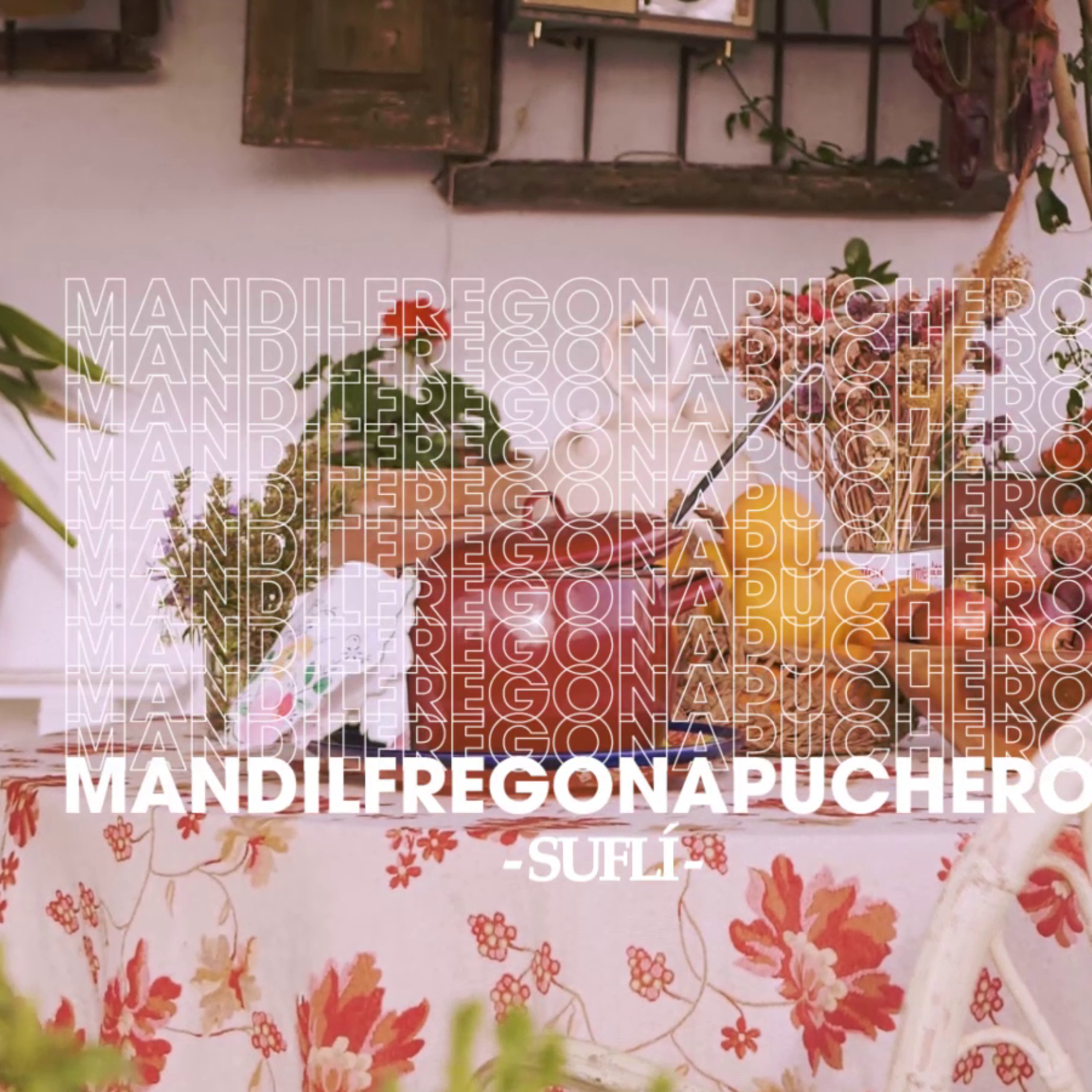 Mandil Fregona Puchero