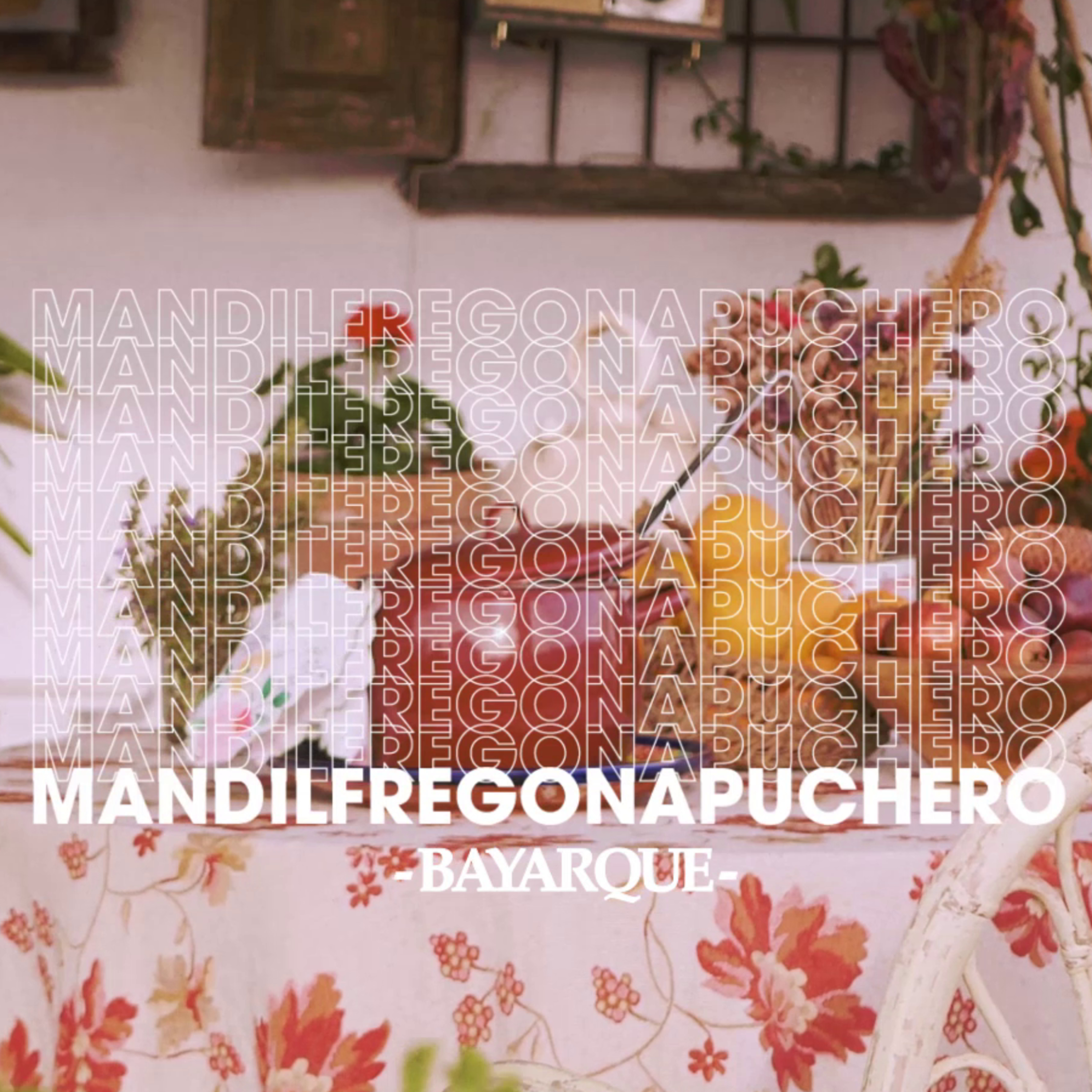 Mandil Fregona Puchero