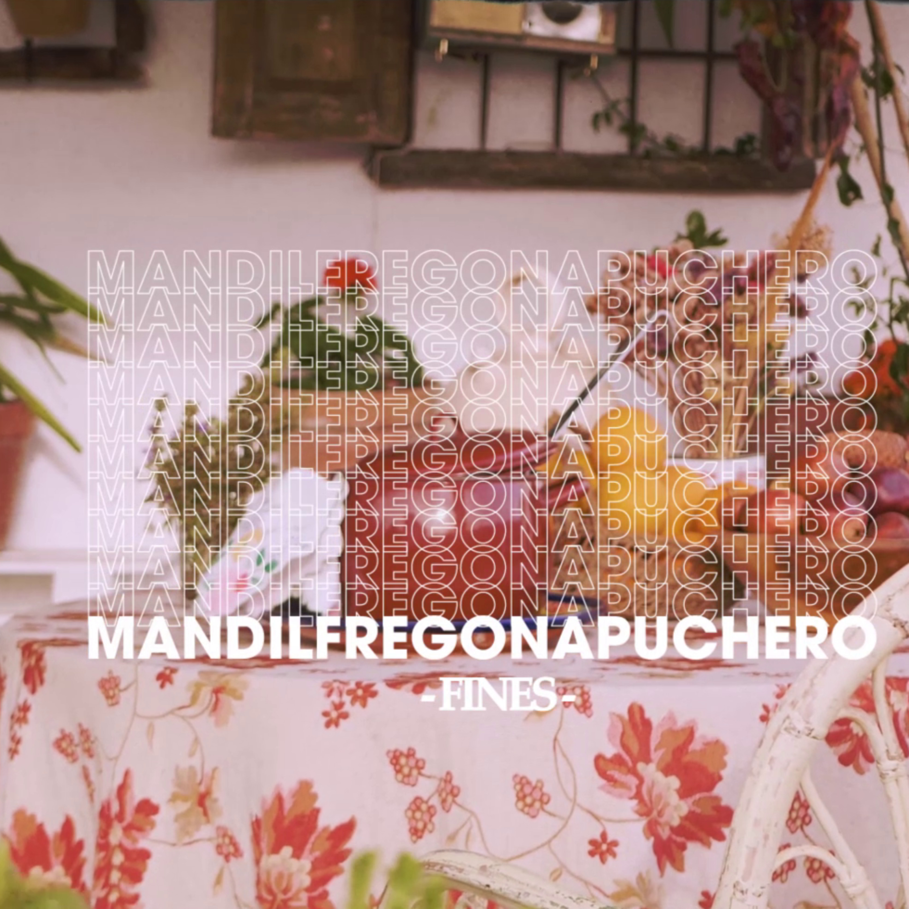 Mandil Fregona Puchero