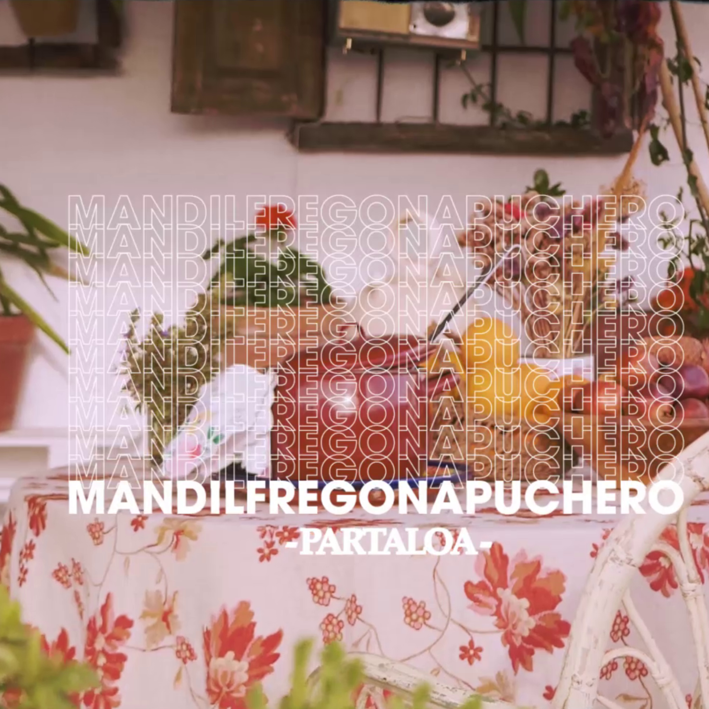 Mandil Fregona Puchero