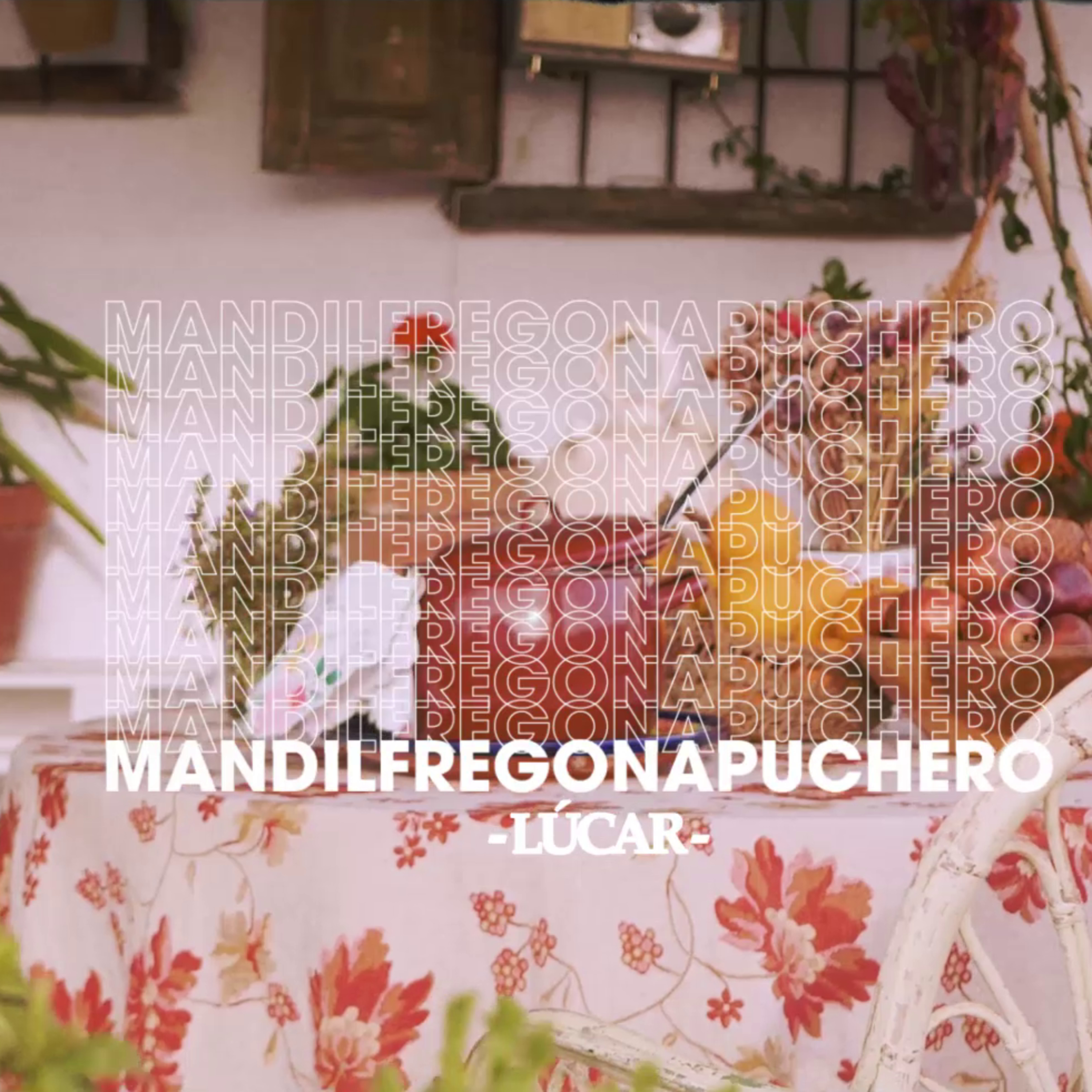 Mandil Fregona Puchero