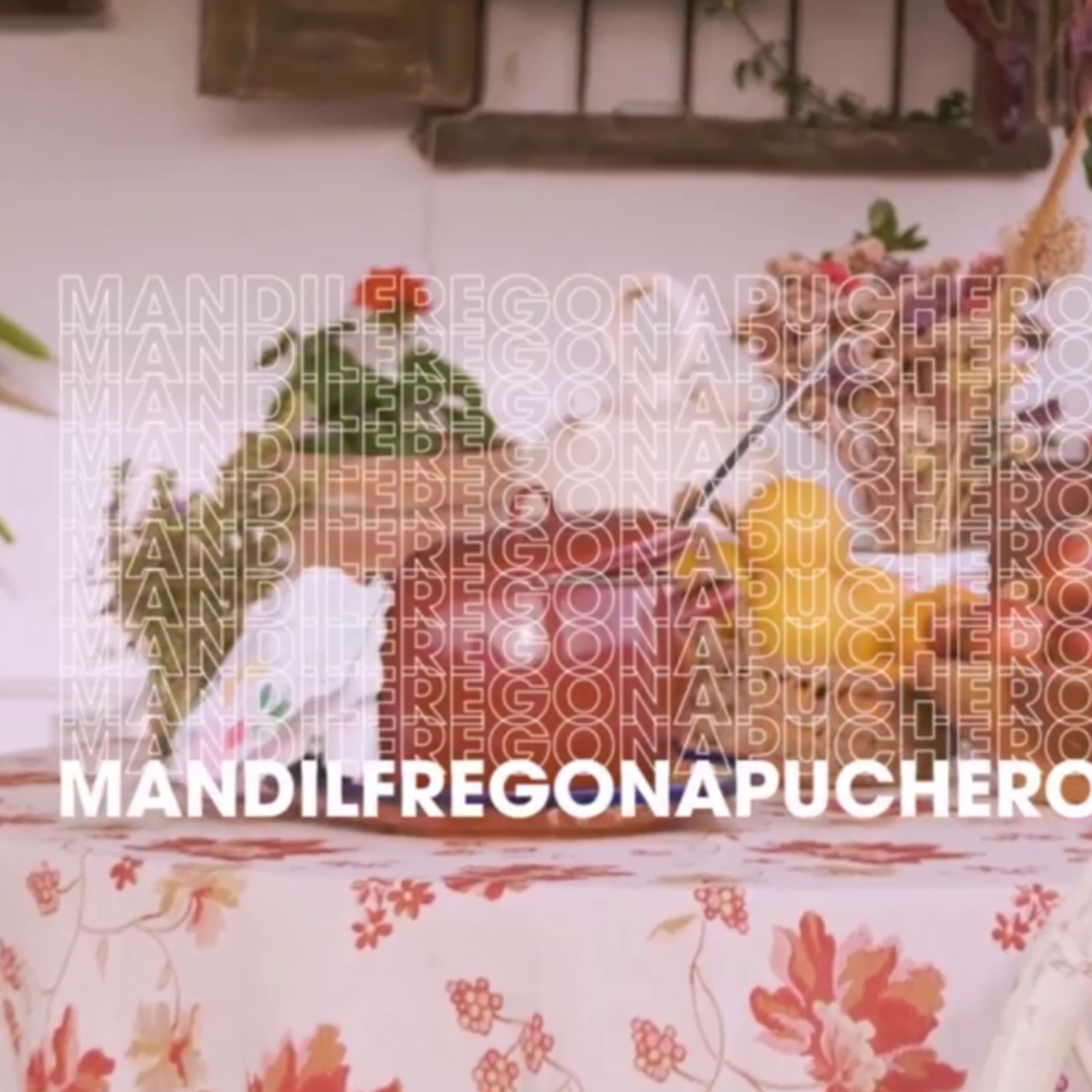 Mandil Fregona Puchero