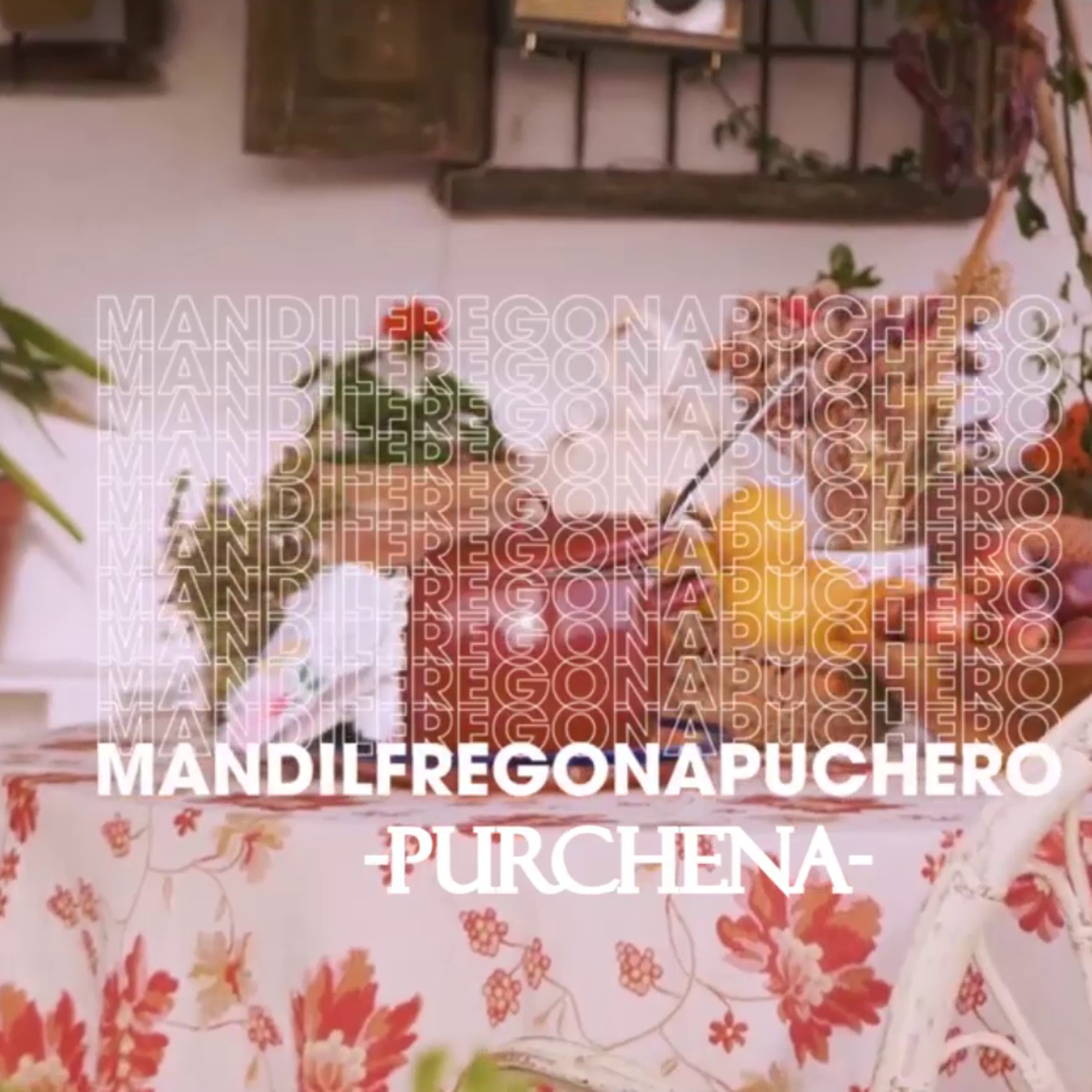 Mandil Fregona Puchero
