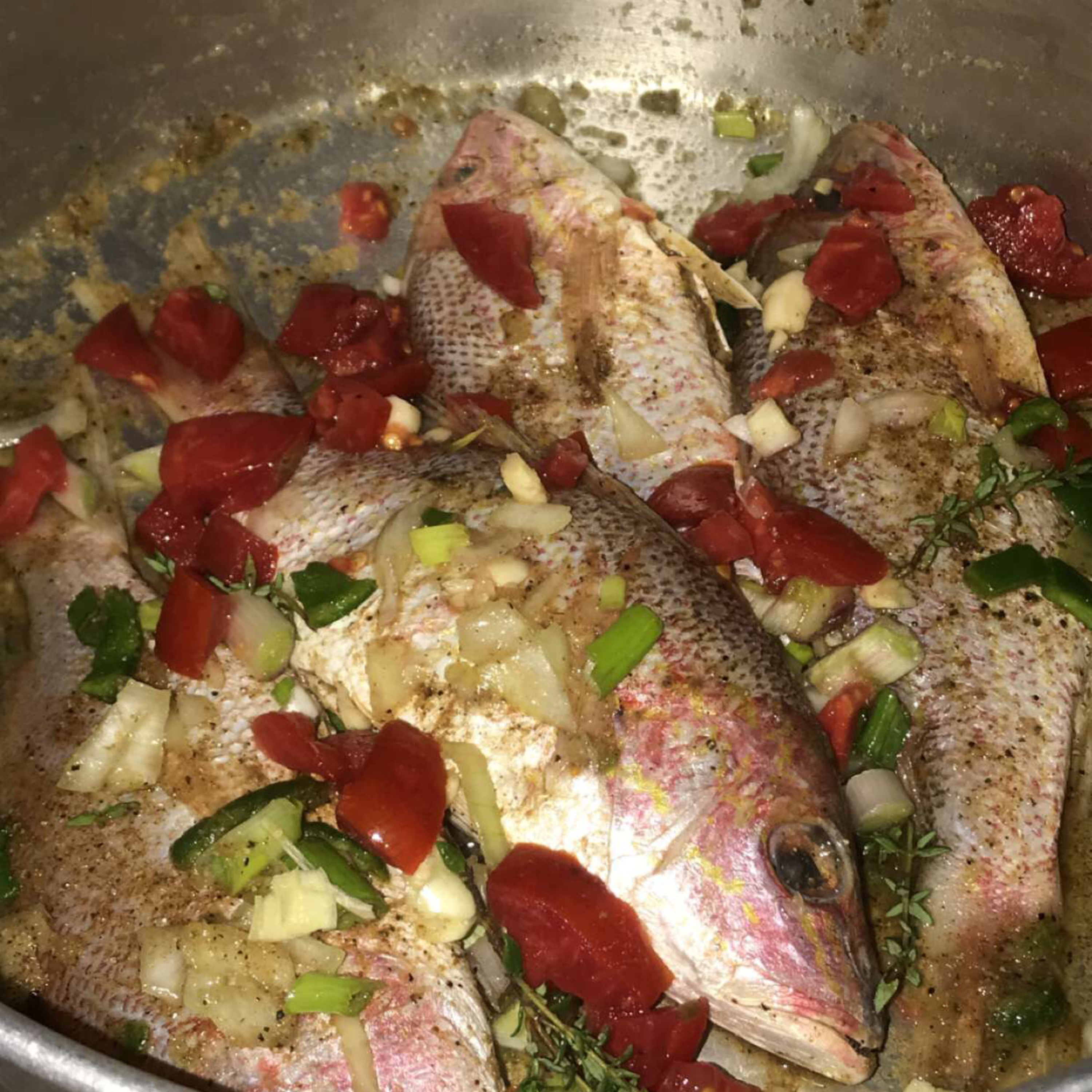 Fishy Bizniz🐟🐠🐟🐠🐟