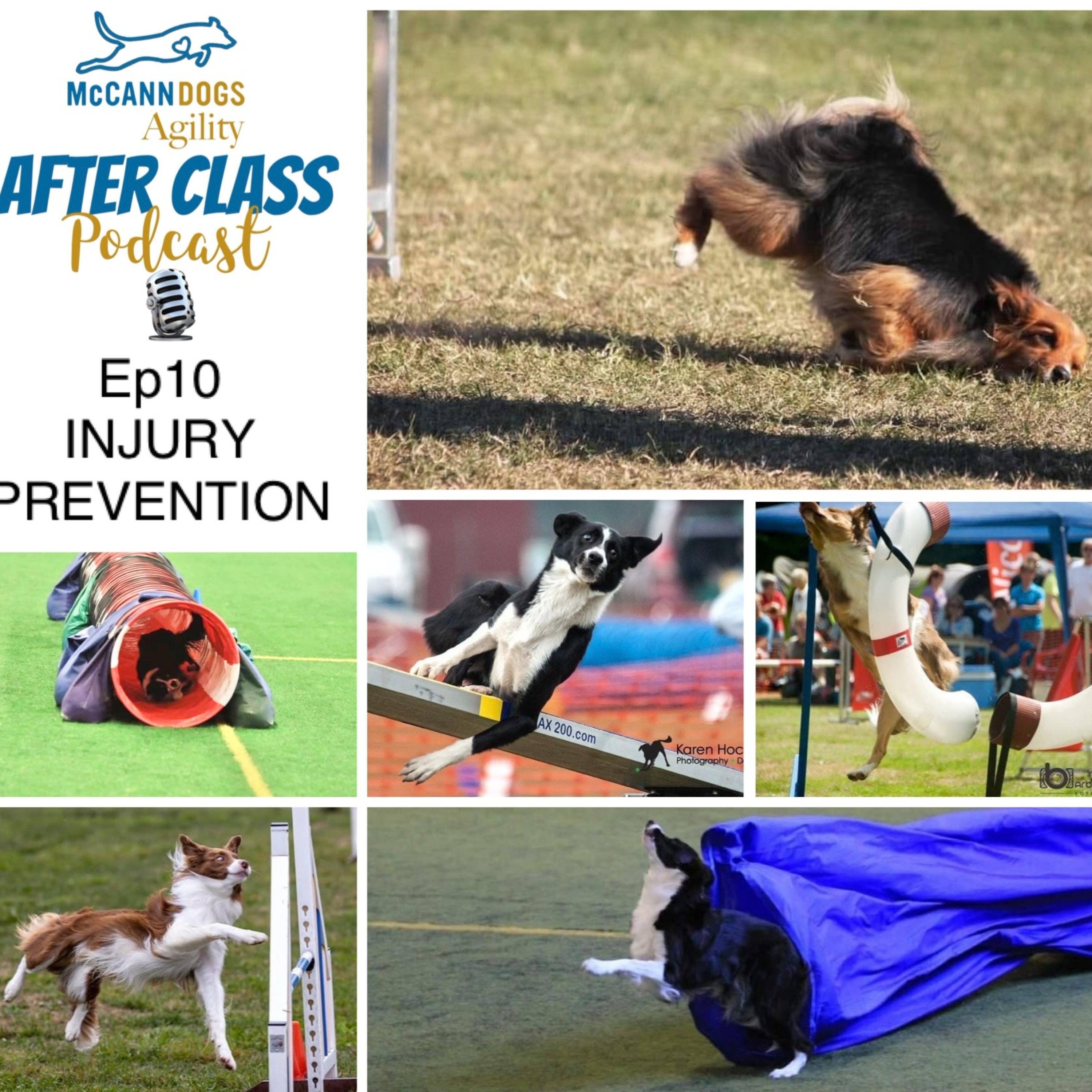 Ep10: INJURY Prevention for Dog Agility