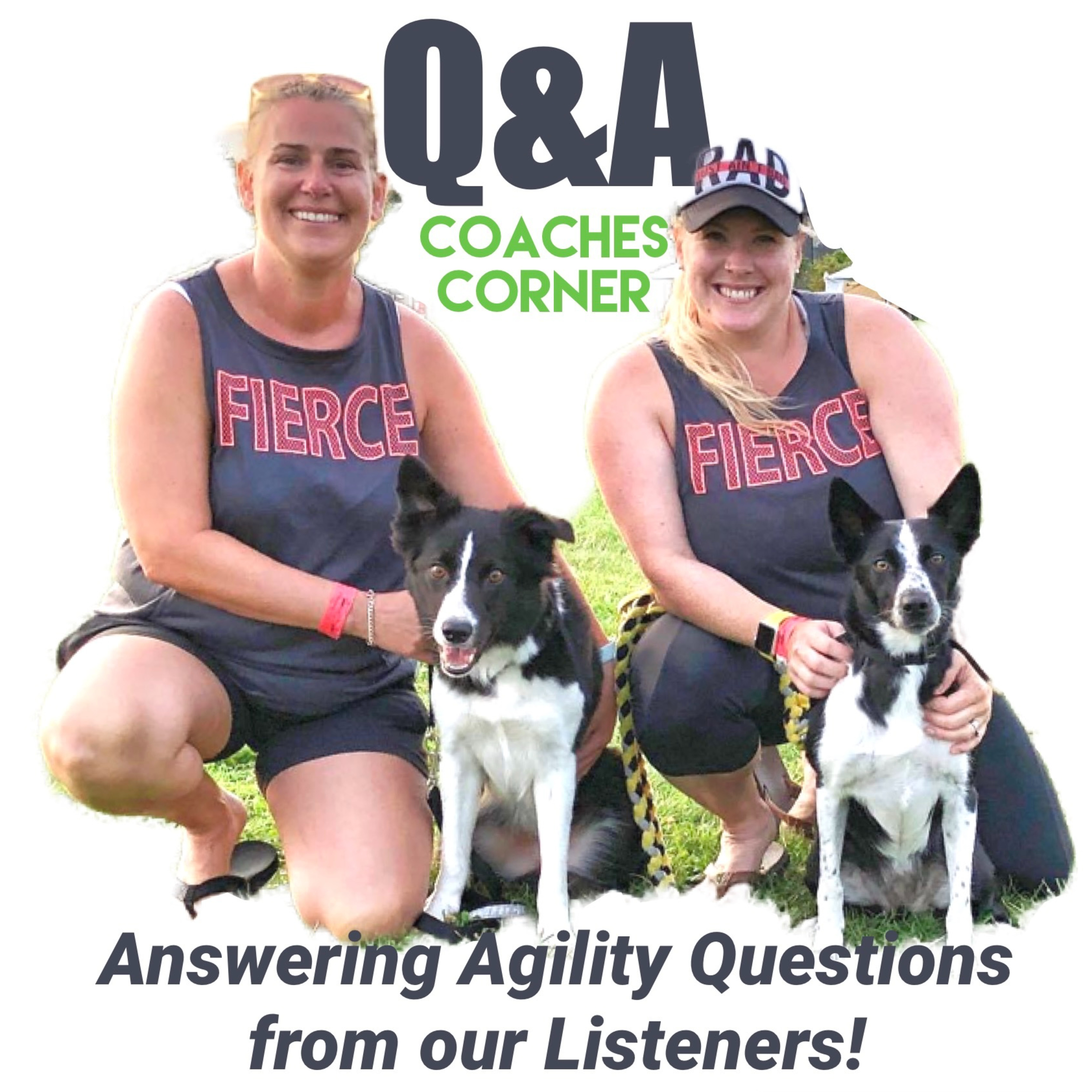 McCann Dogs Agility - After Class Podcast