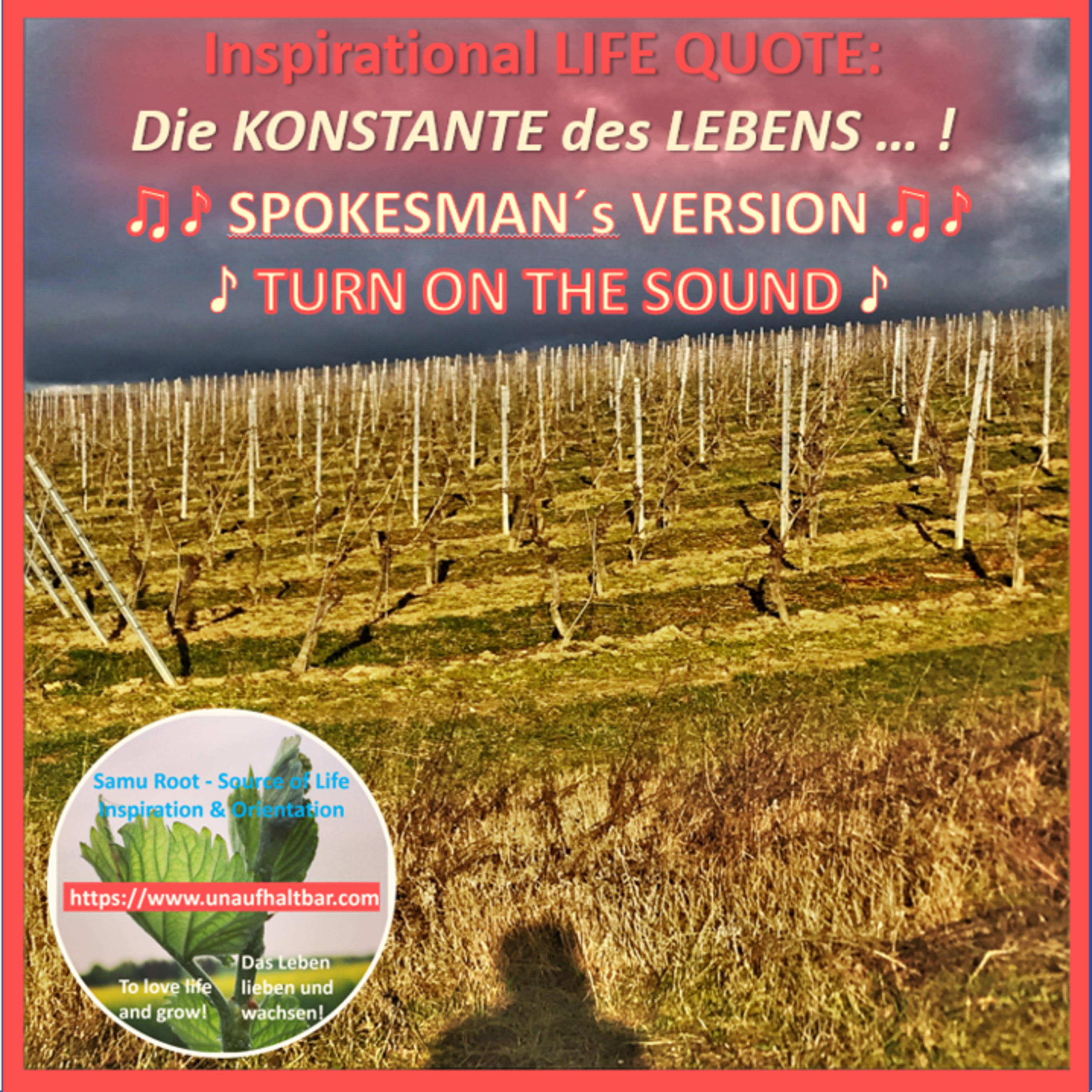 ValueVisions - der einzigartig inspirierende Podcast für Kraft und Motivation im Alltag
