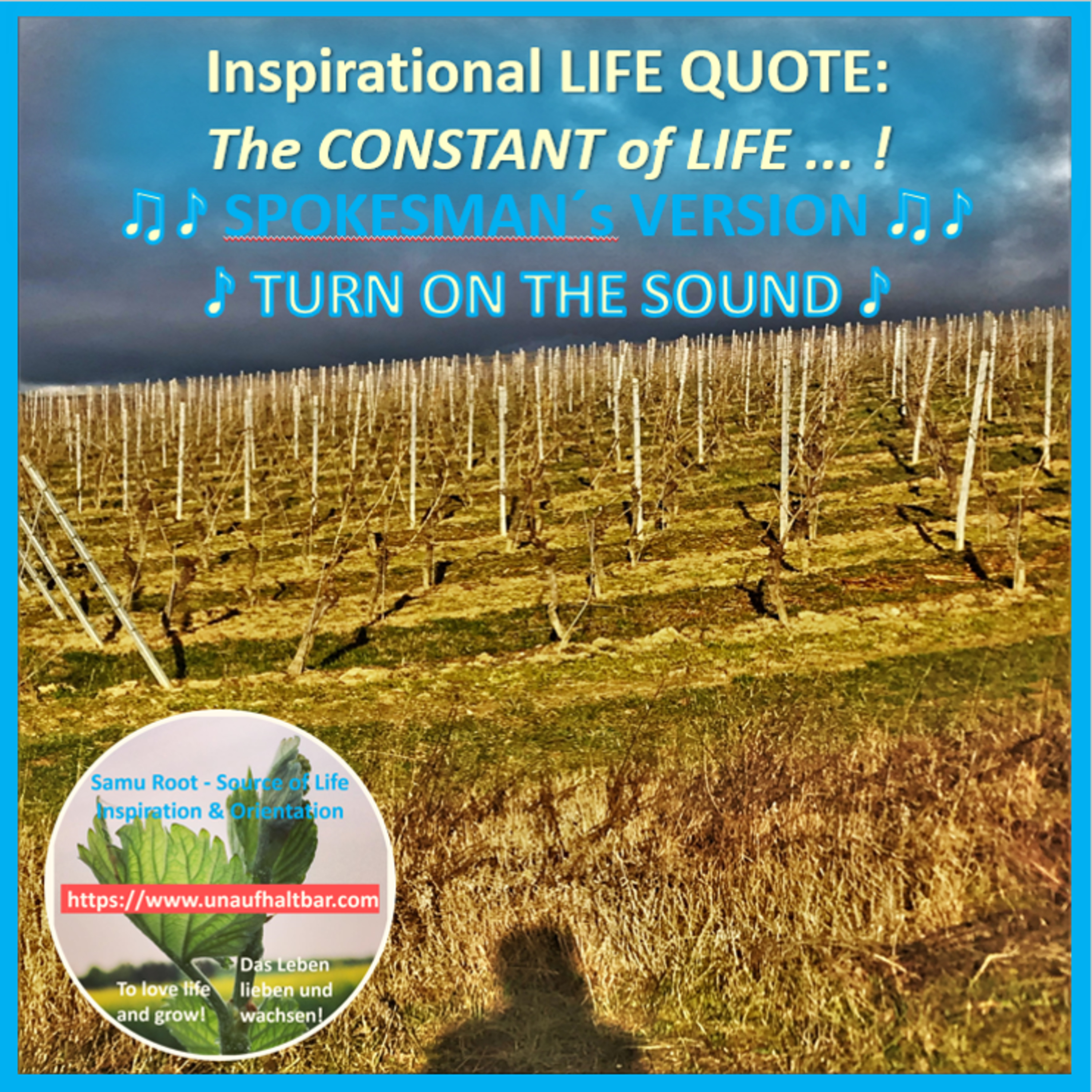 ValueVisions - der einzigartig inspirierende Podcast für Kraft und Motivation im Alltag