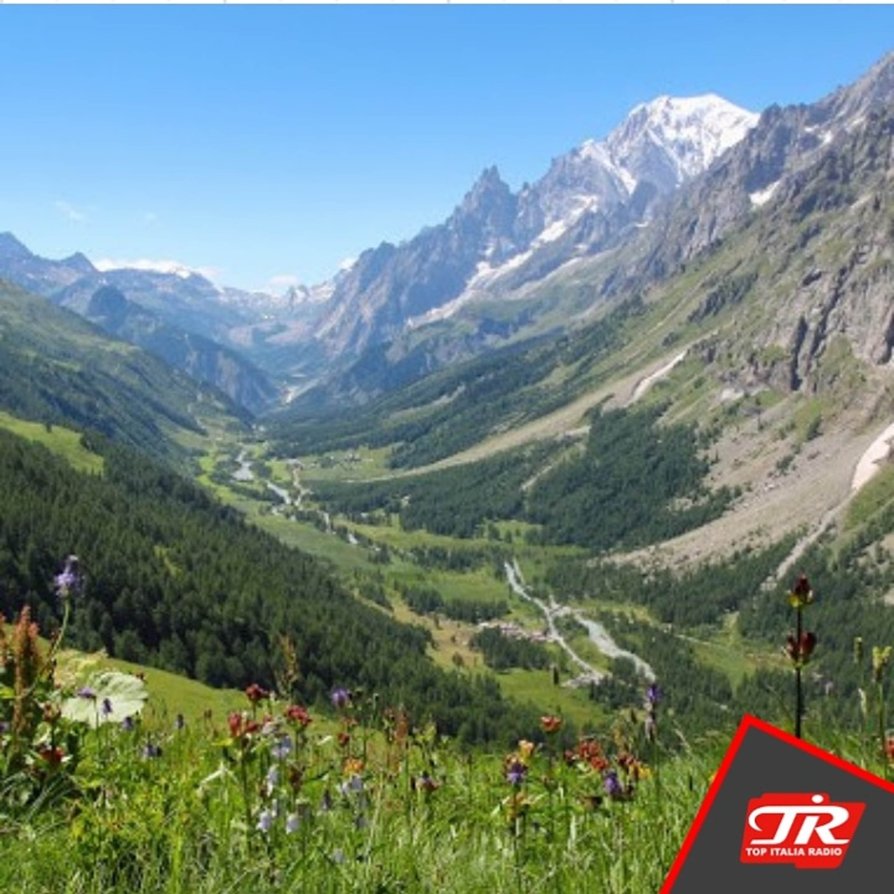 Top Italia Radio Le interviste